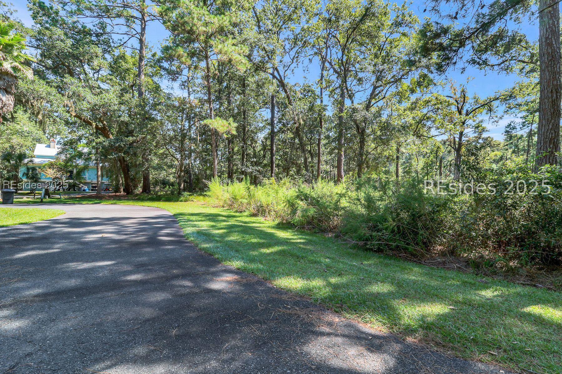 Curving driveway through mature trees and greenery, with part of a blue house visible at left.