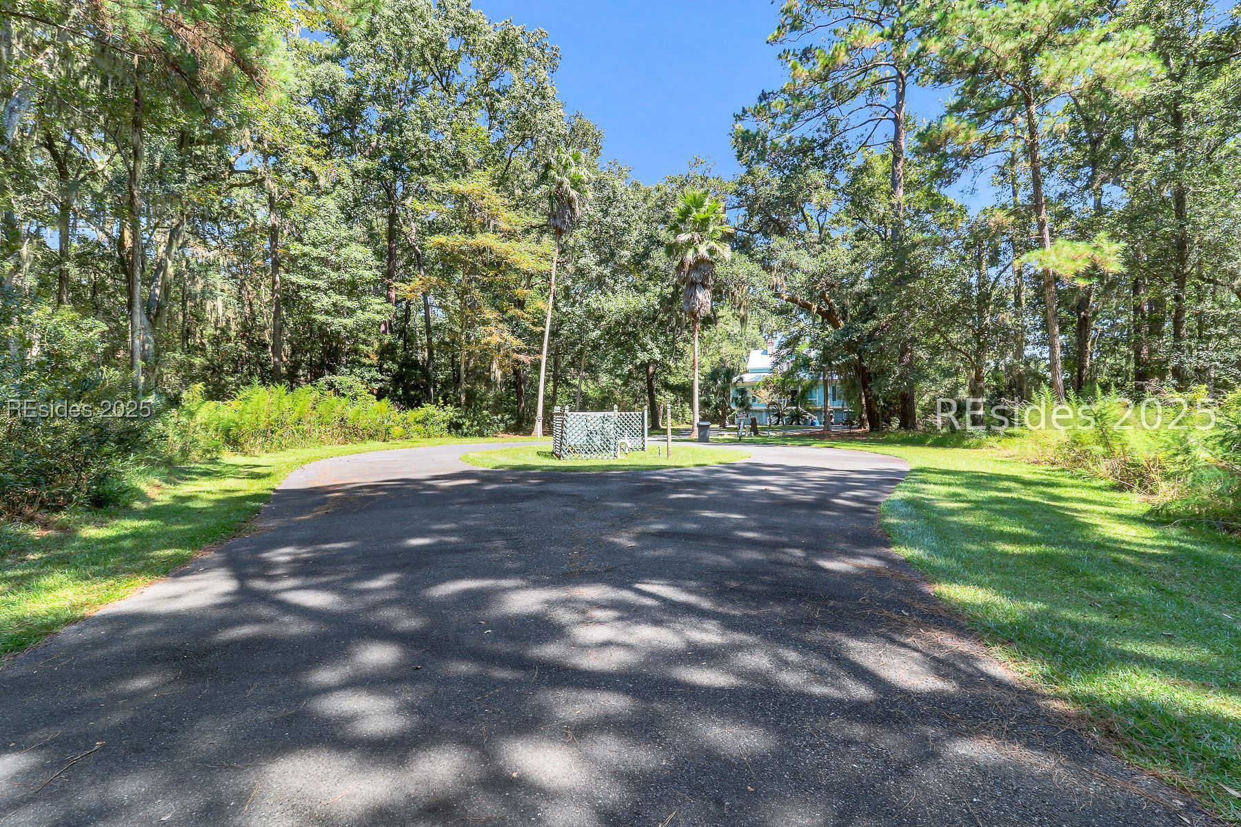 Circular driveway leads through mature trees and palms toward a blue house.