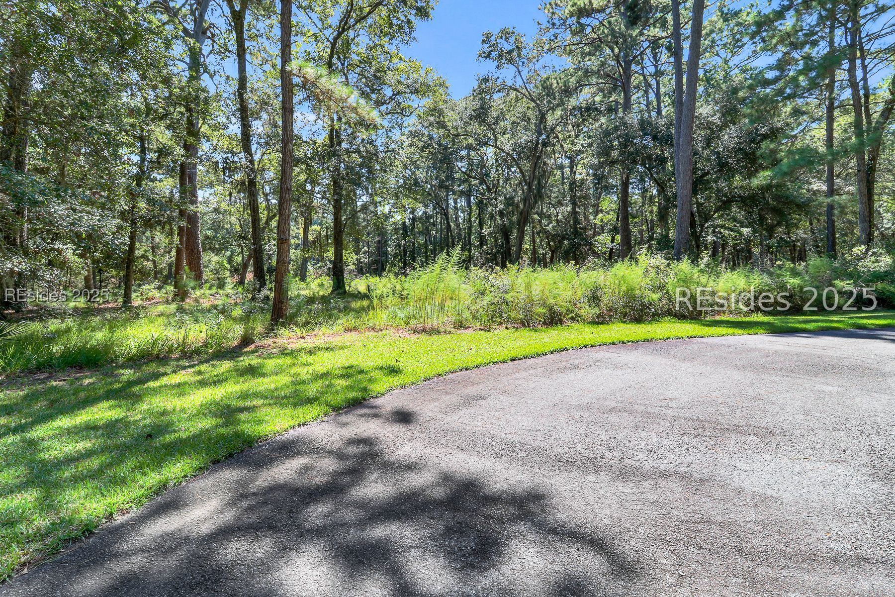 Wooded property frontage with tall trees and ferns beside a paved road.