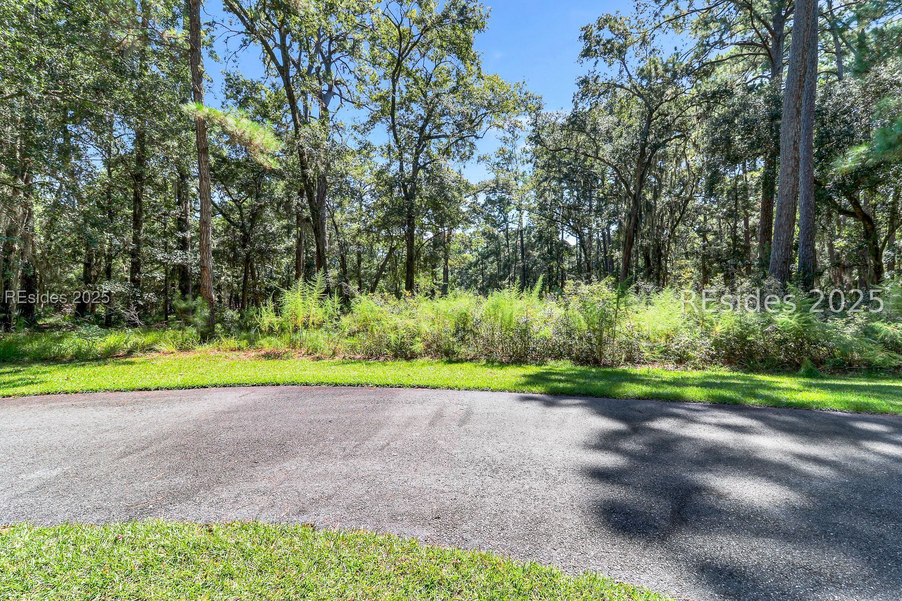 Wooded property beside a paved road, with a grassy clearing and dense trees.
