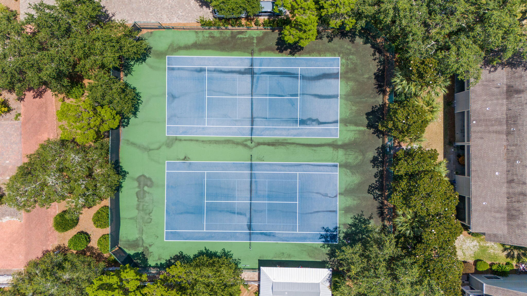 62 Dune Rosemary Court