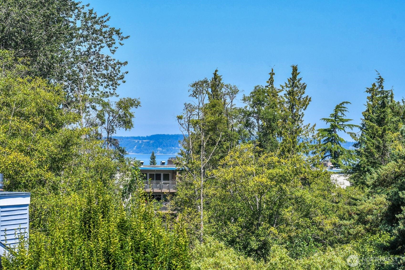 523 Paradise Lane