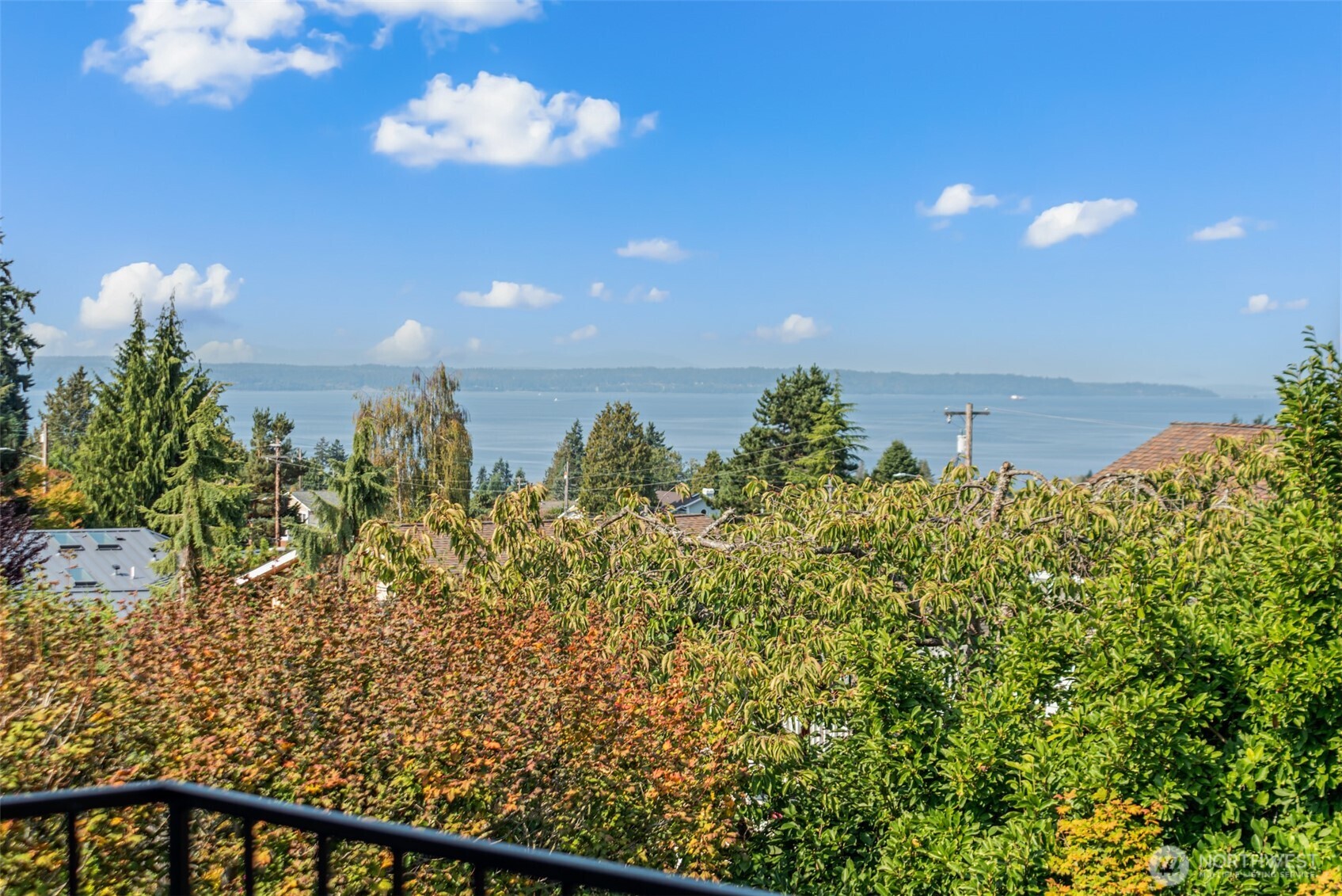 1133 Emerald Hills Drive