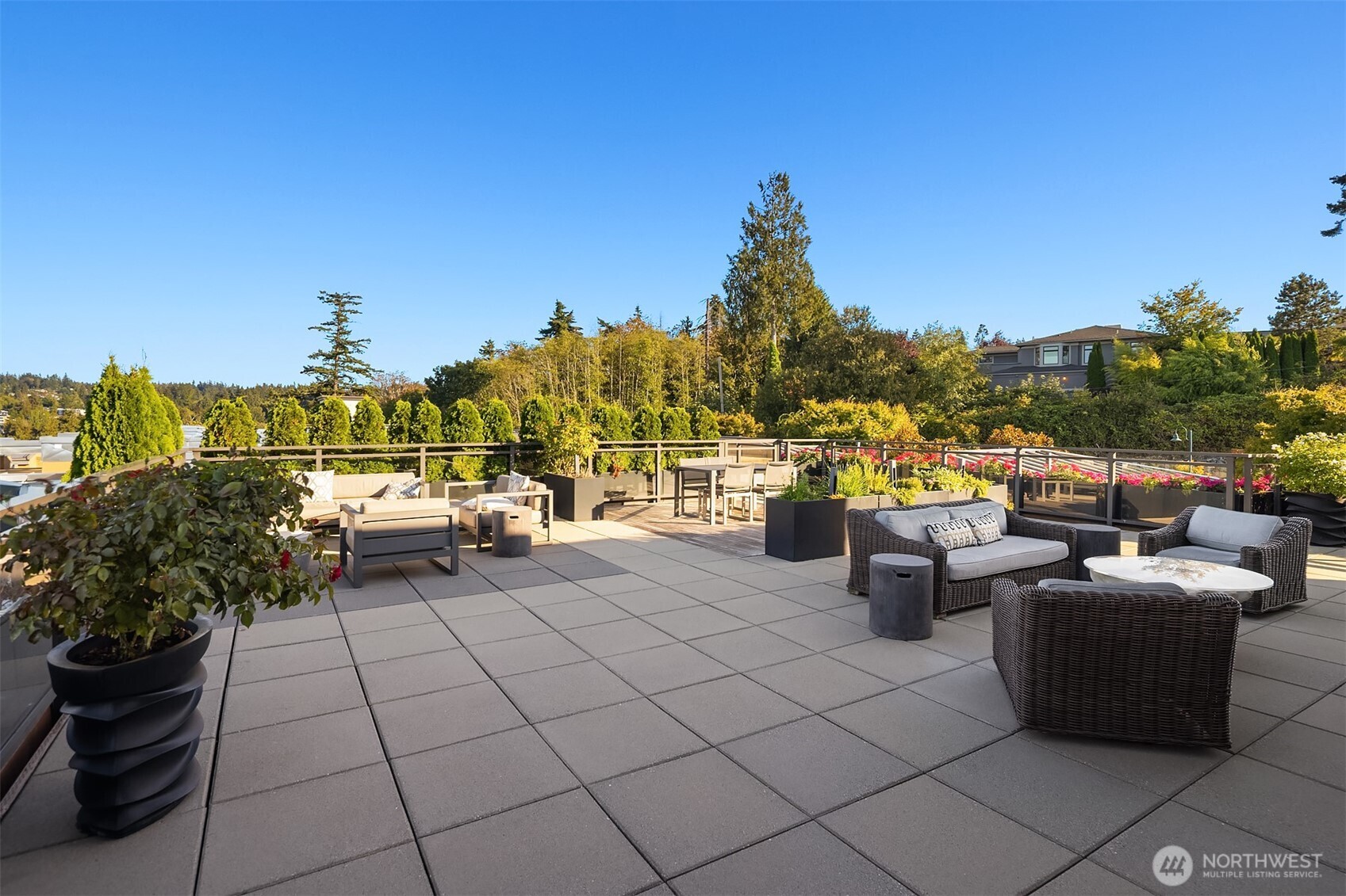 50 Pine Street Unit: 509