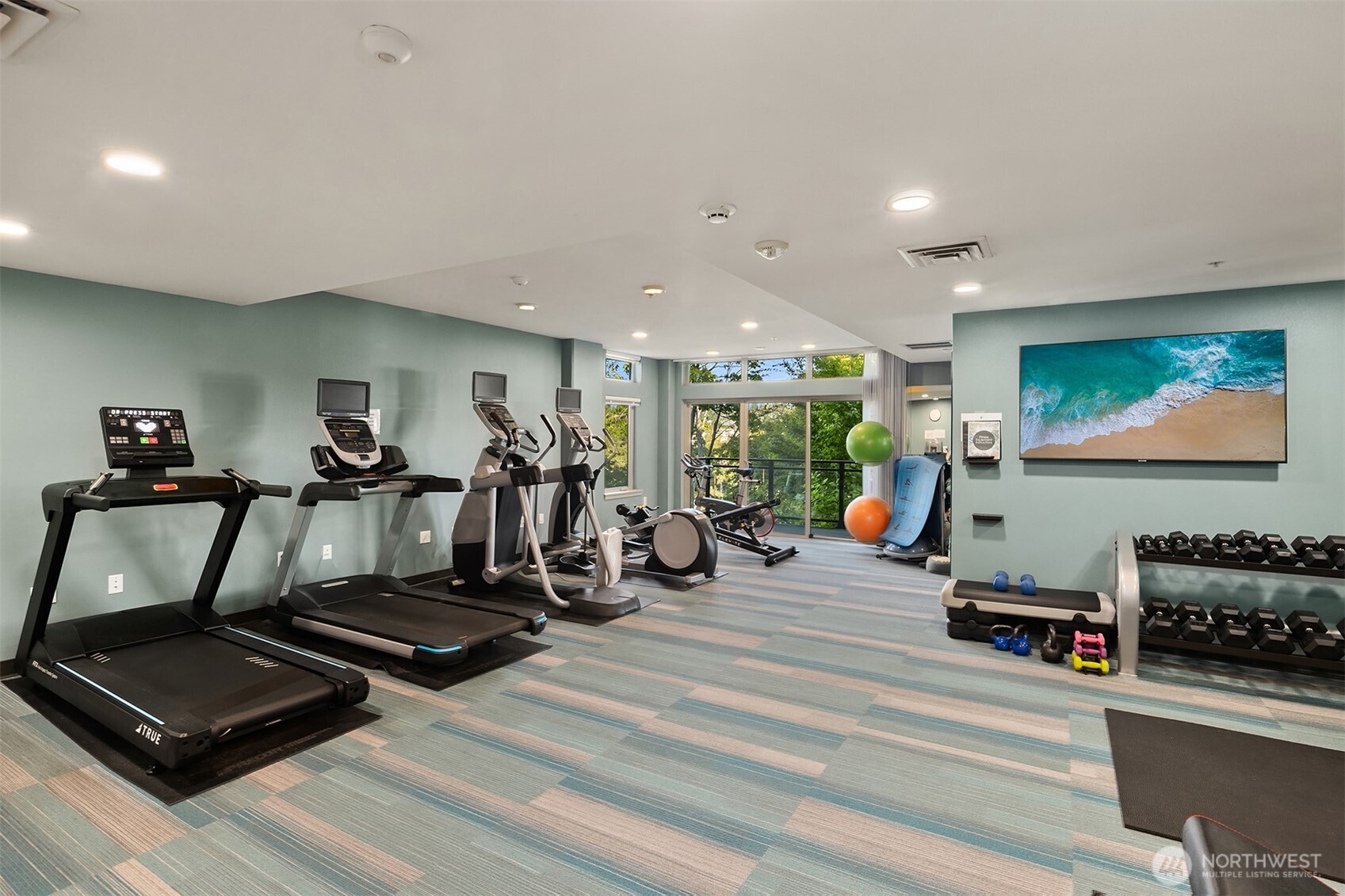 50 Pine Street Unit: 509