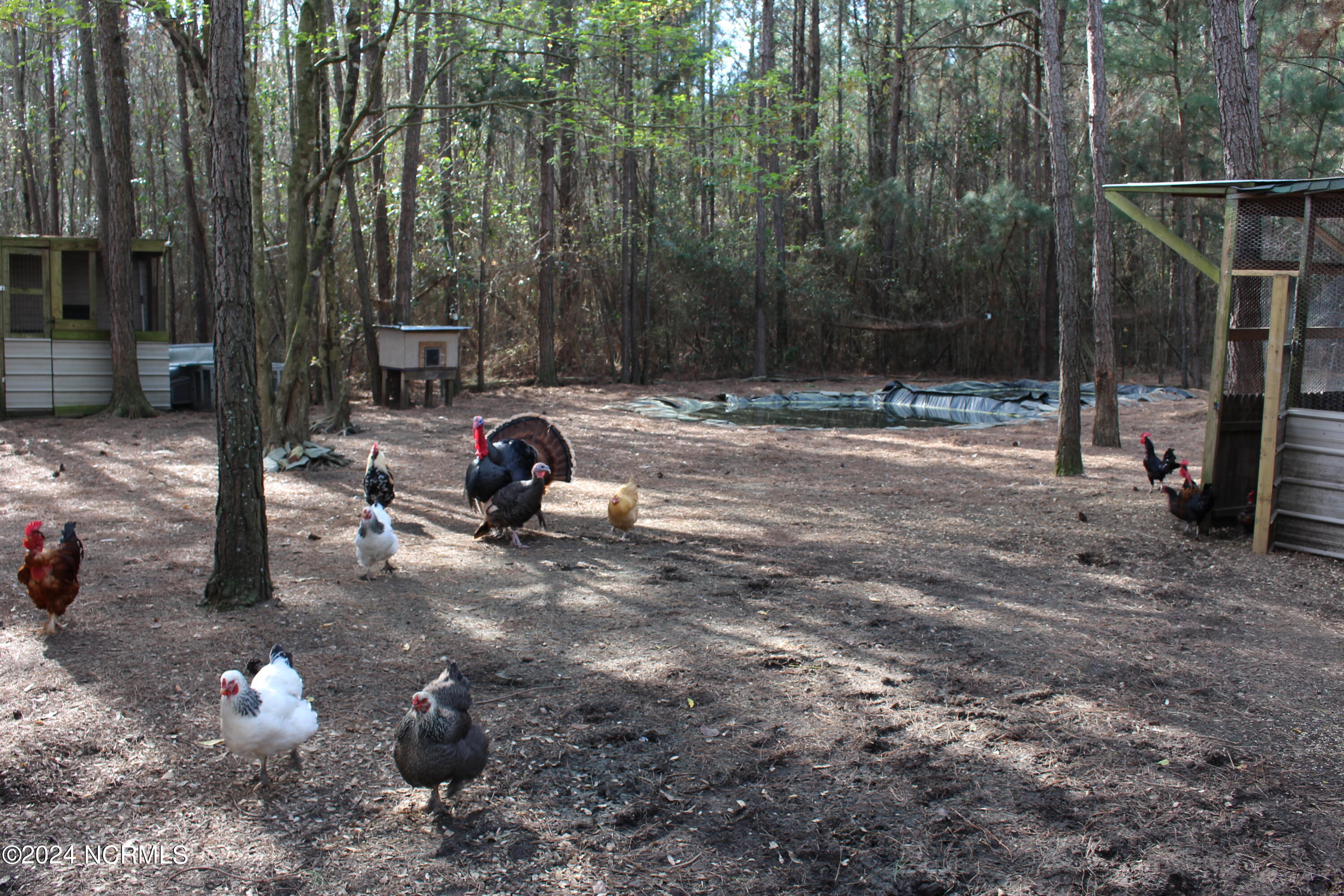 4173 Englishtown Road