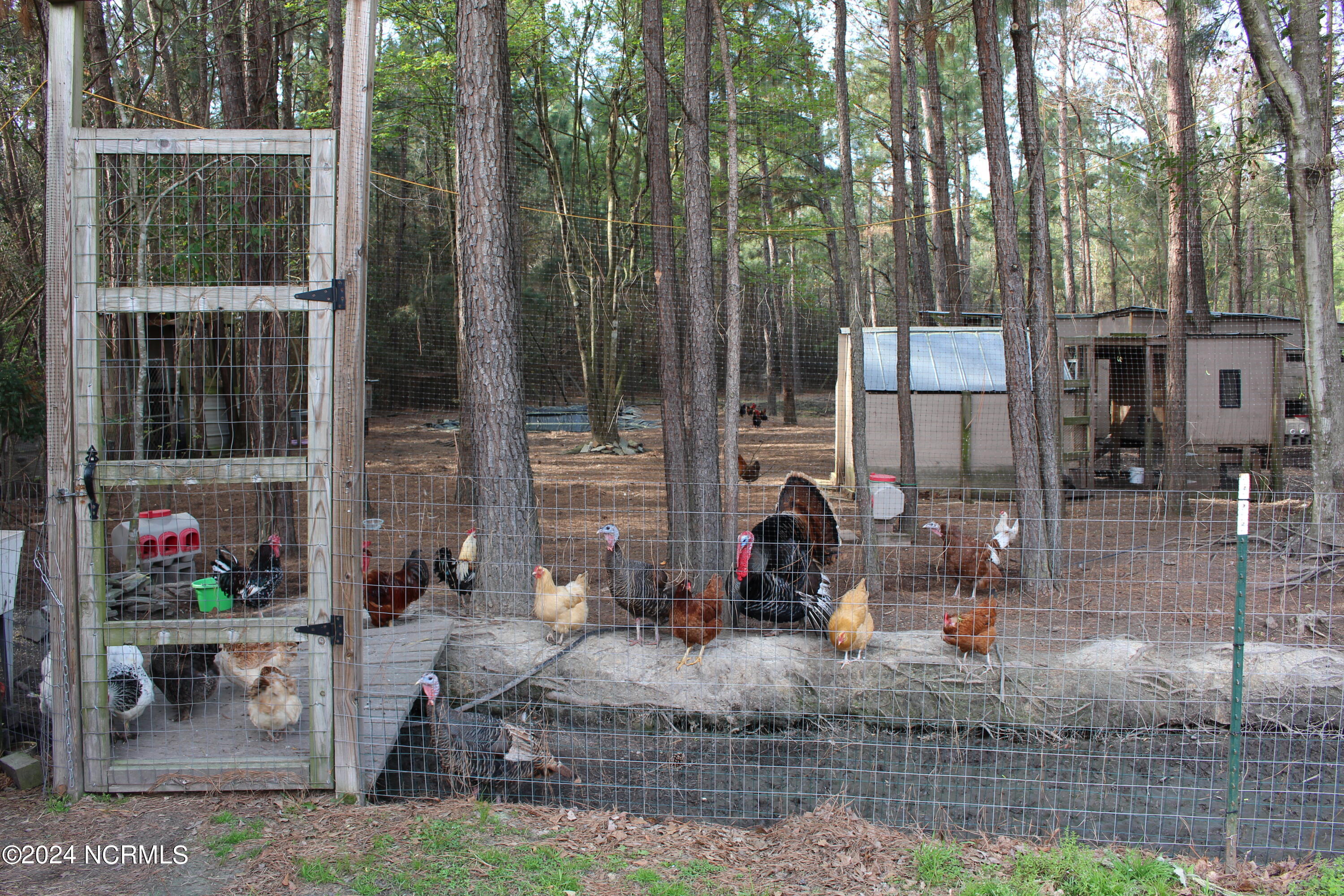 4173 Englishtown Road