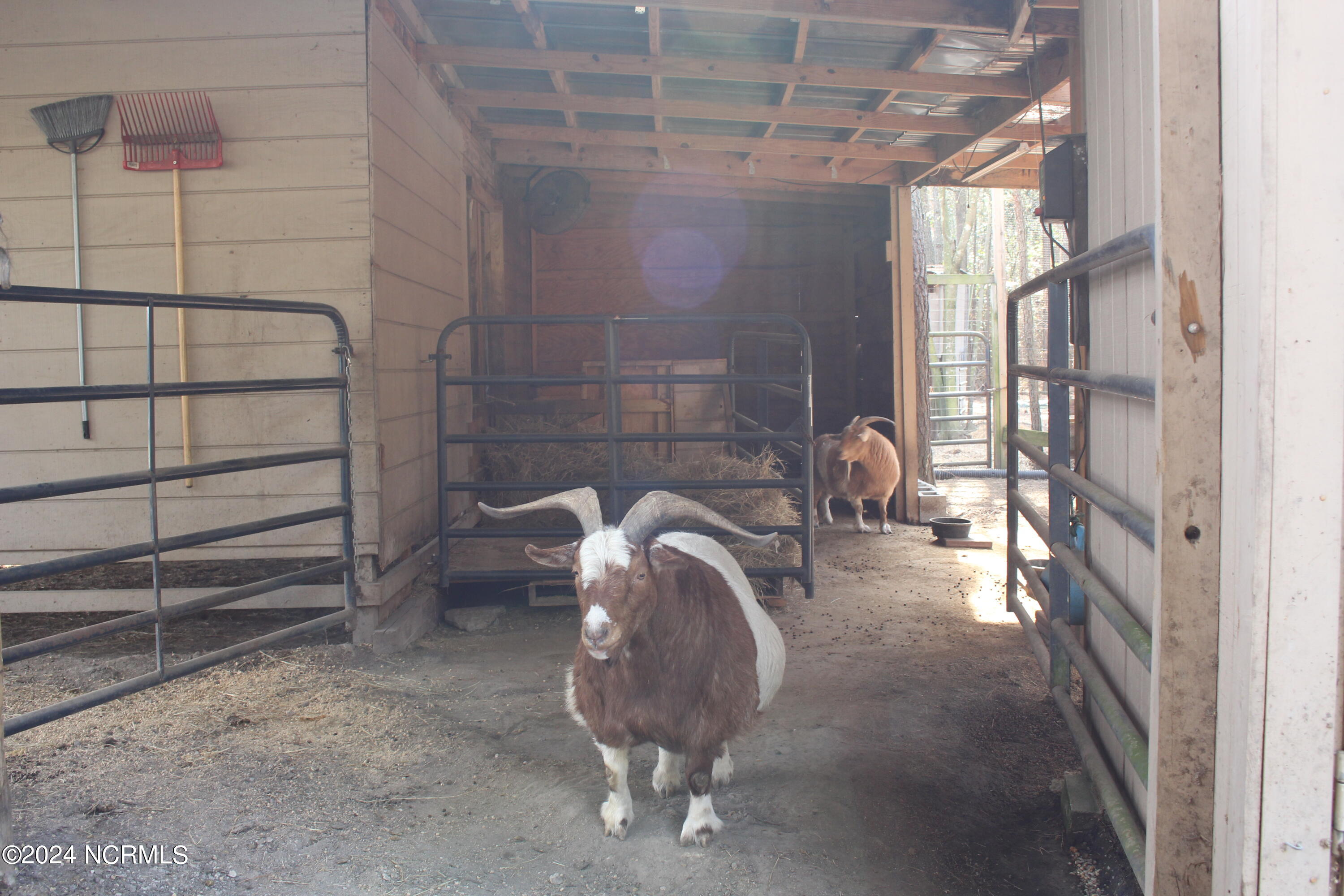 4173 Englishtown Road