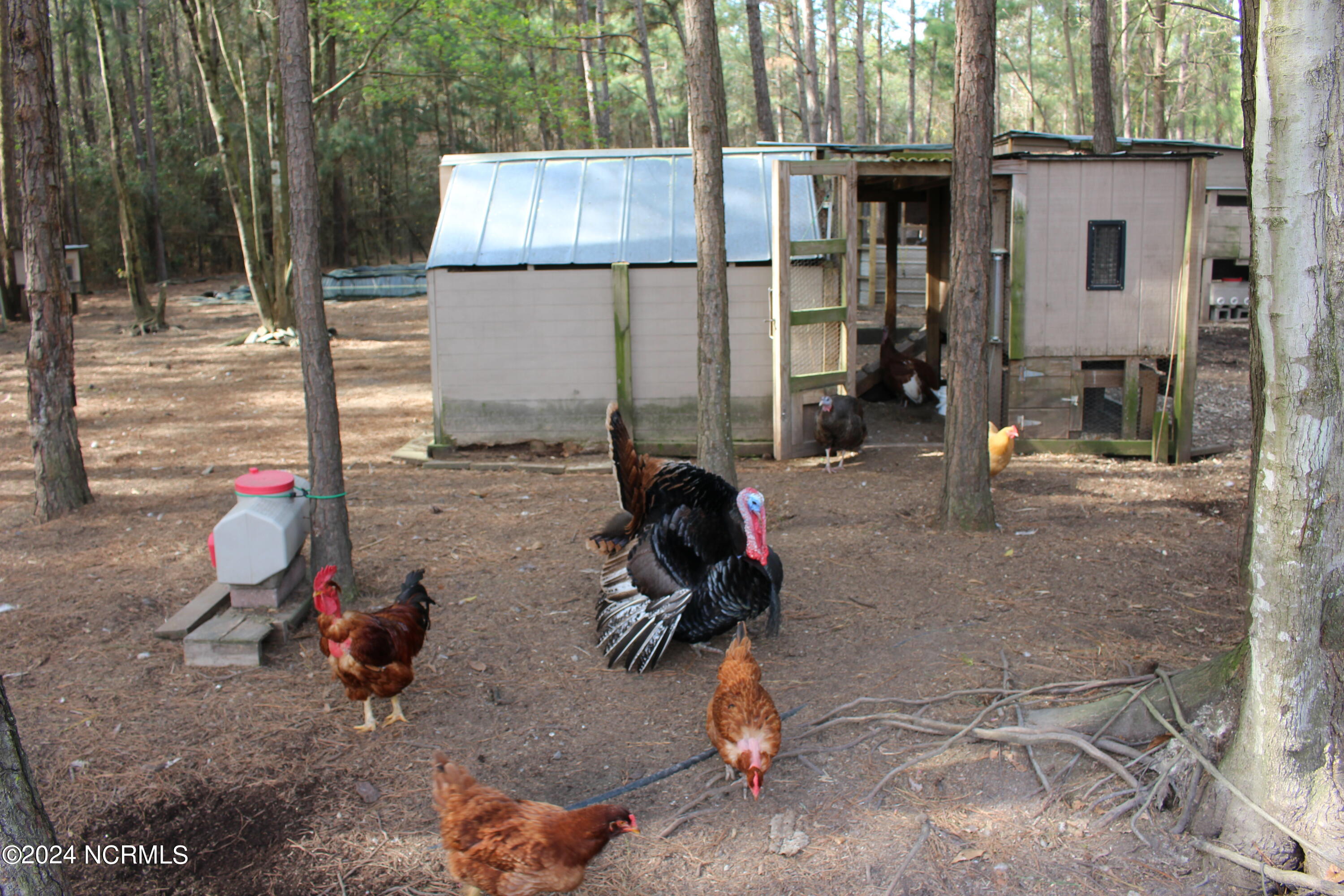 4173 Englishtown Road