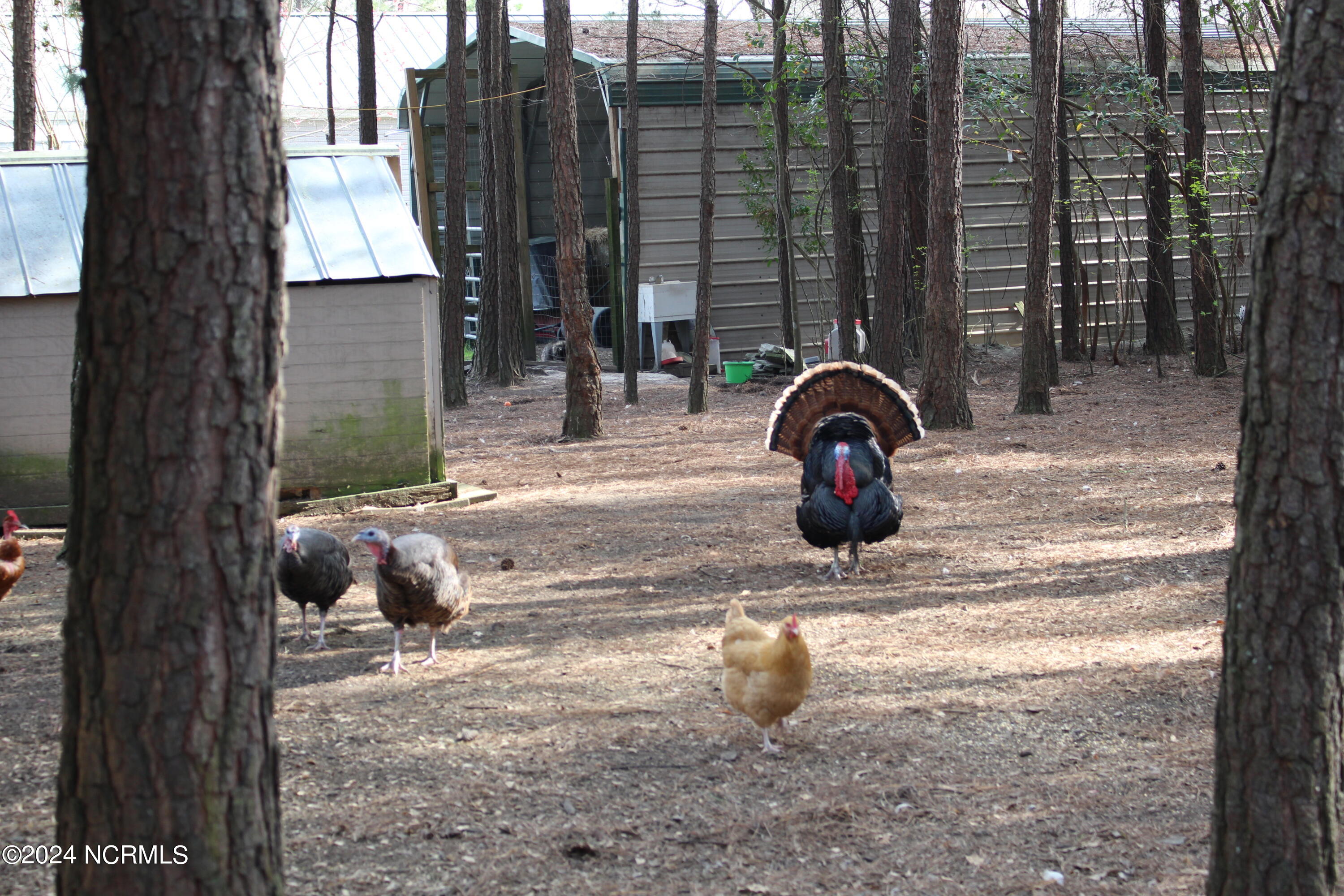 4173 Englishtown Road