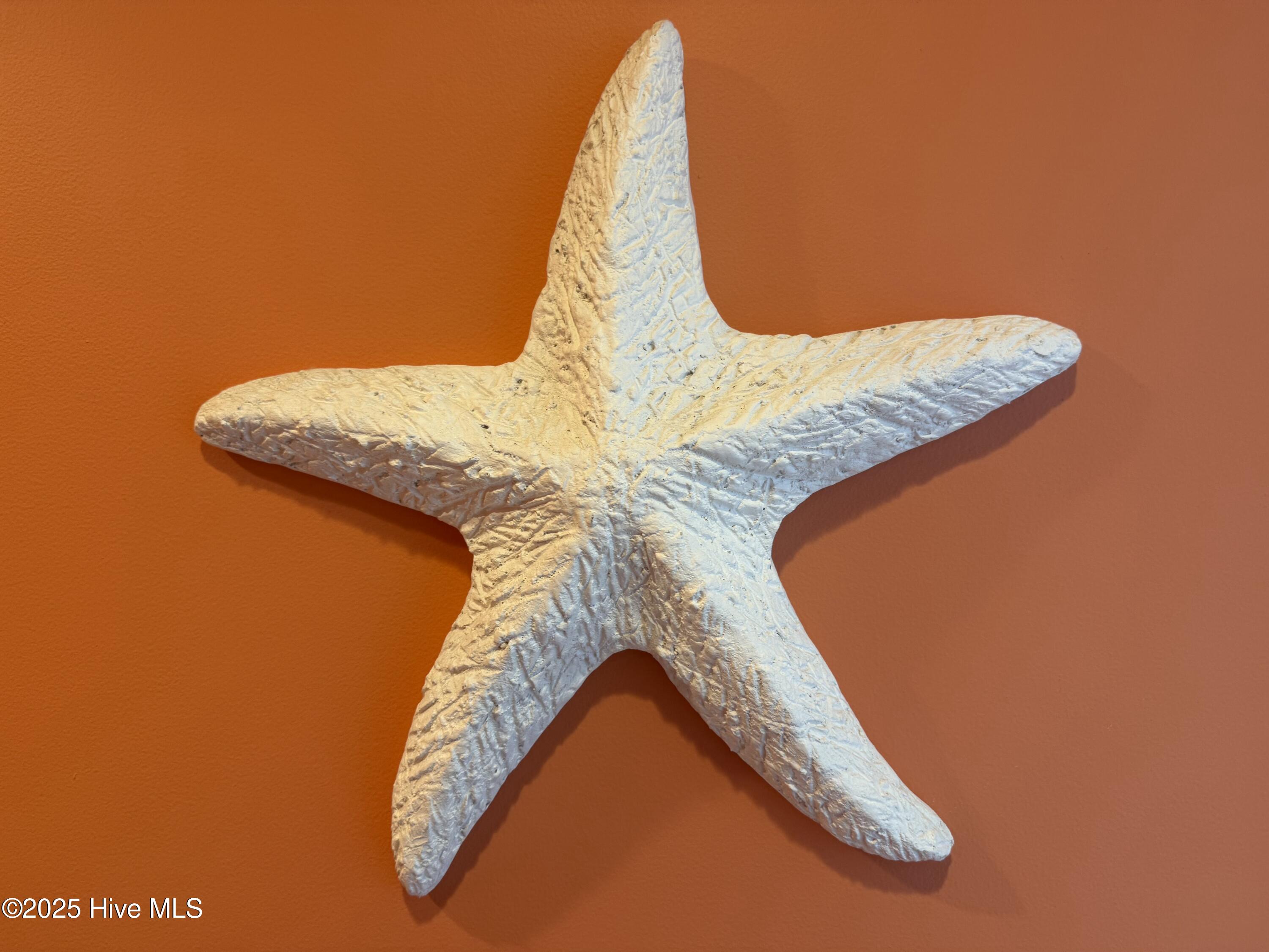 1017 Trout Lane, Unit B