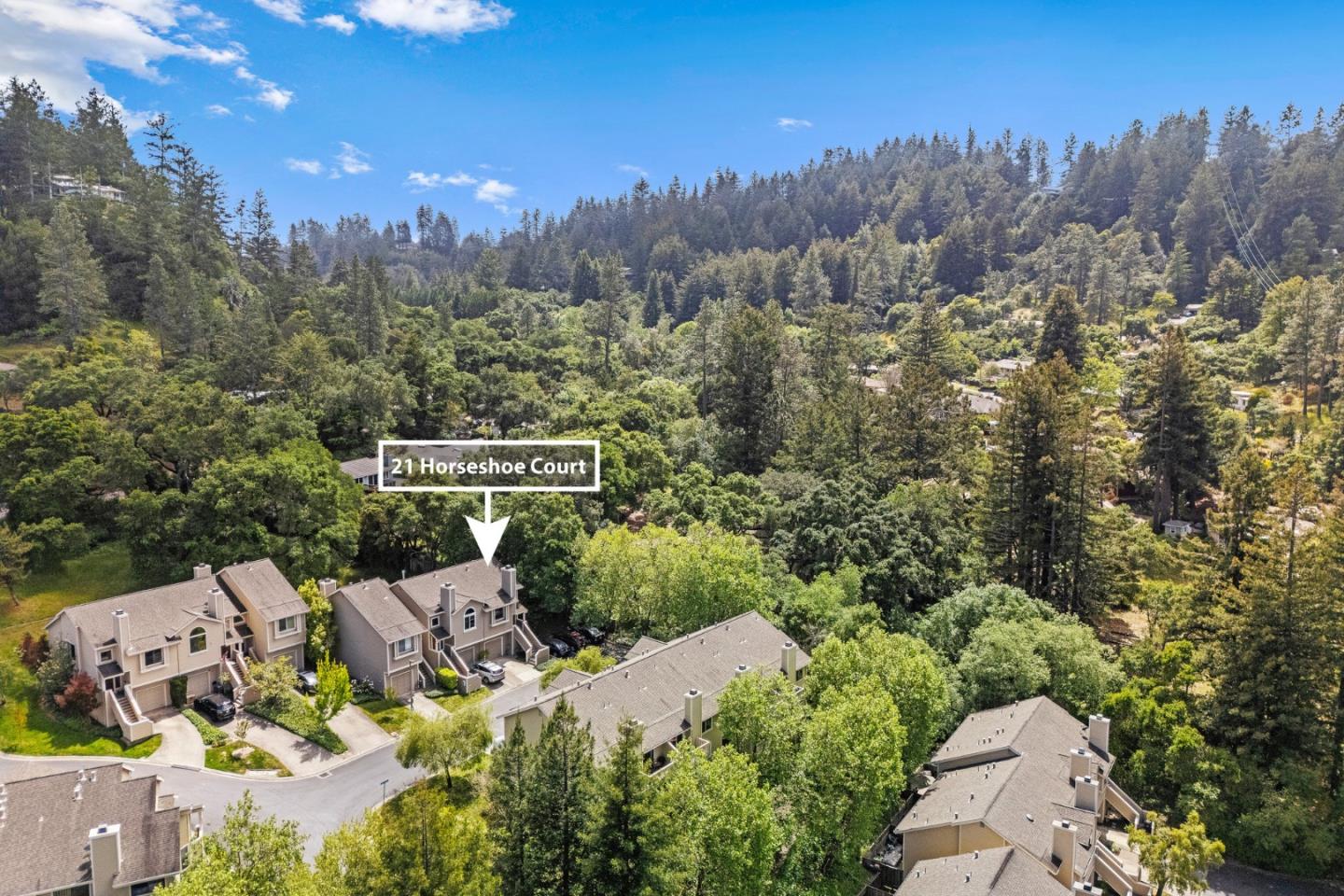 21 Horseshoe CT