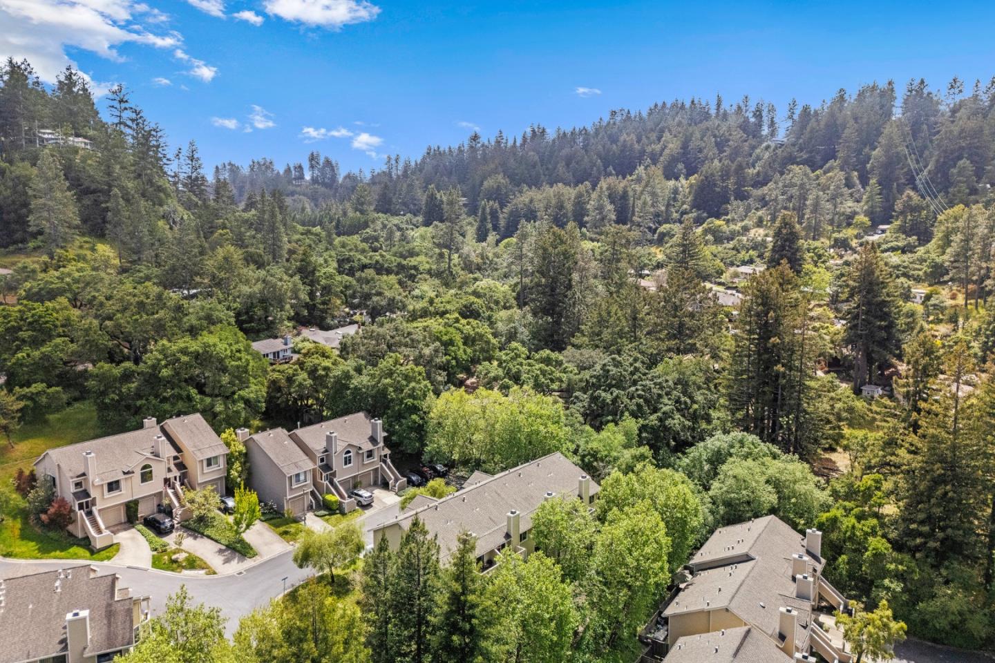 21 Horseshoe CT