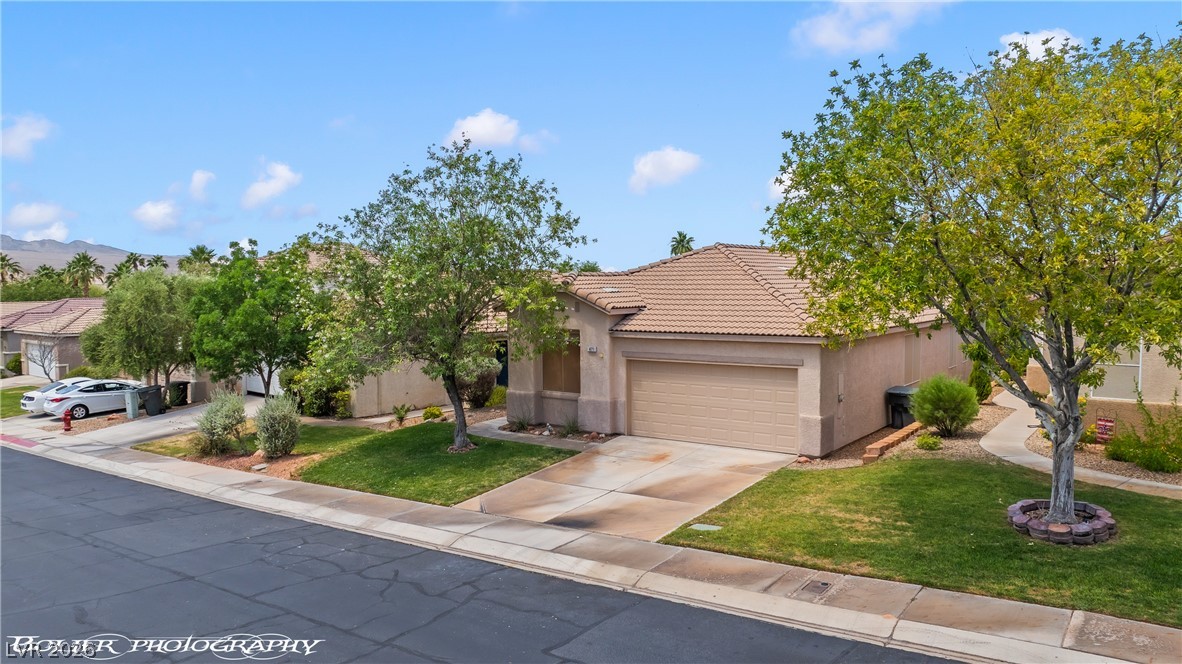 471 Canyon View Way