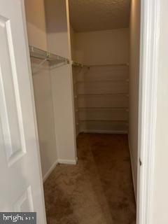 200 BOOKHAM LANE
