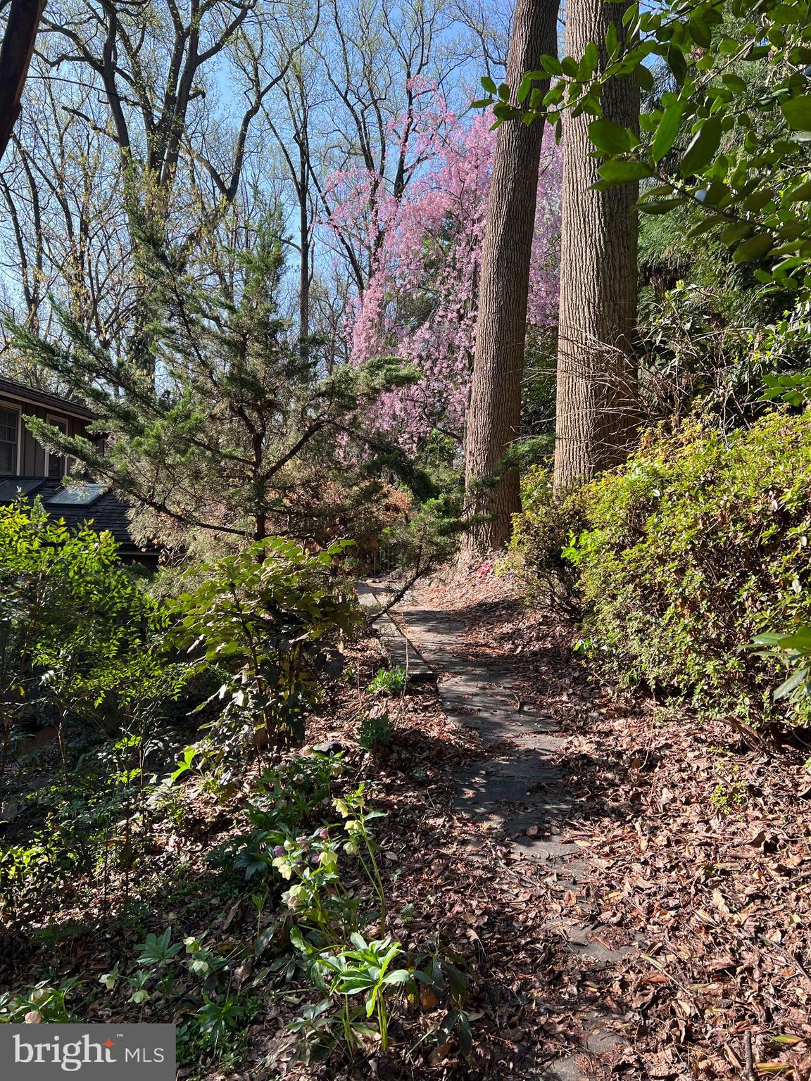 9500 WOODSTOCK COURT