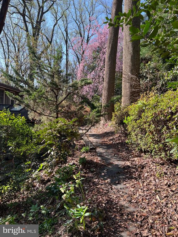 9500 WOODSTOCK COURT