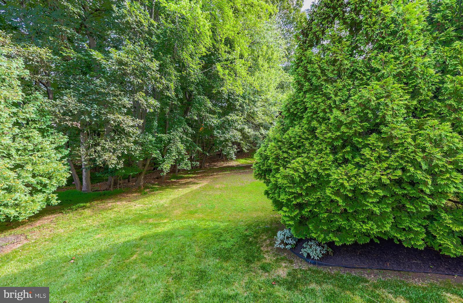 1 TURLEY COURT