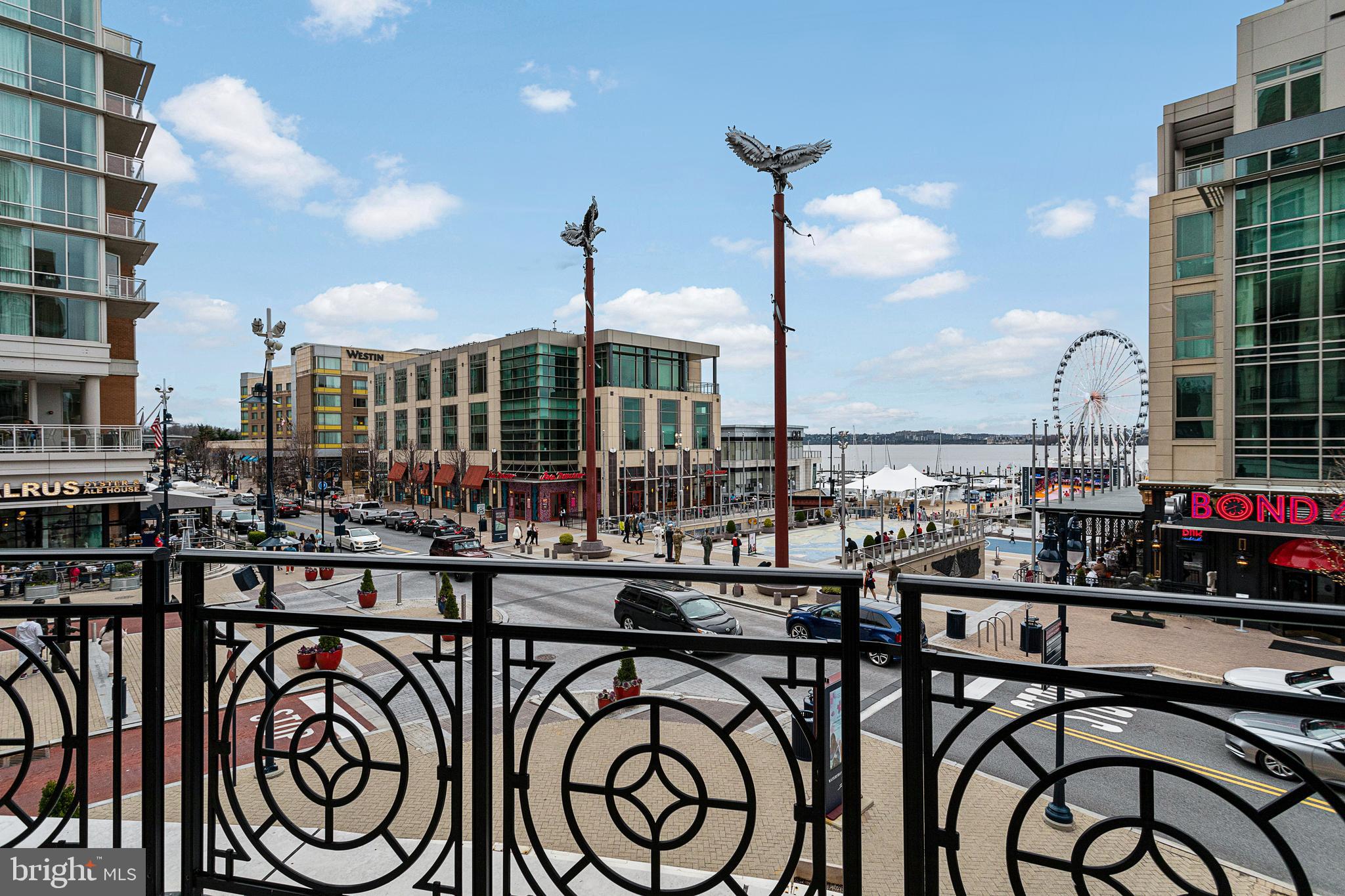 155 POTOMAC PASSAGE 522