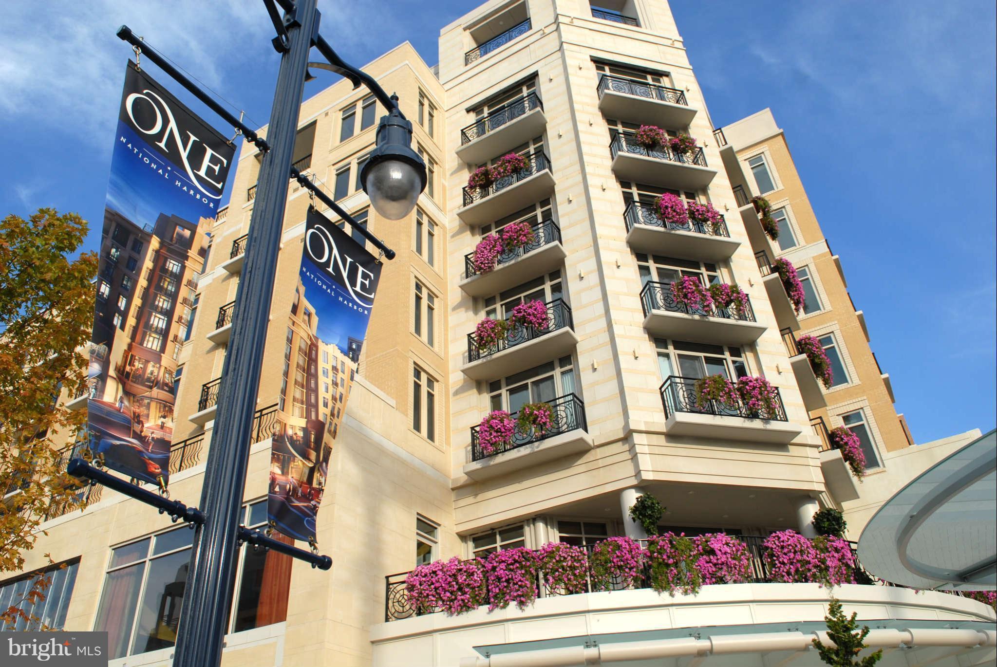 155 POTOMAC PASSAGE 522