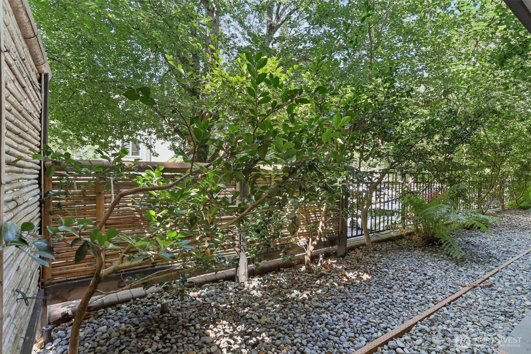 Leafy courtyard with bamboo fencing, mature trees, and a pebble-covered ground.