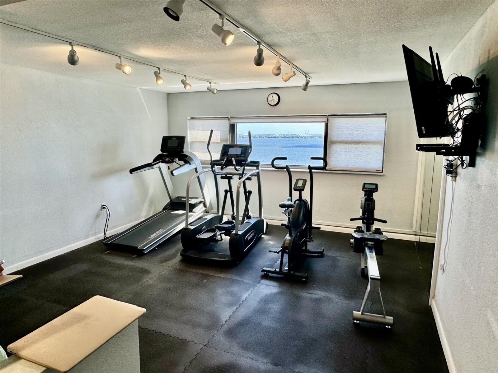 4141 BAYSHORE BLVD #1103