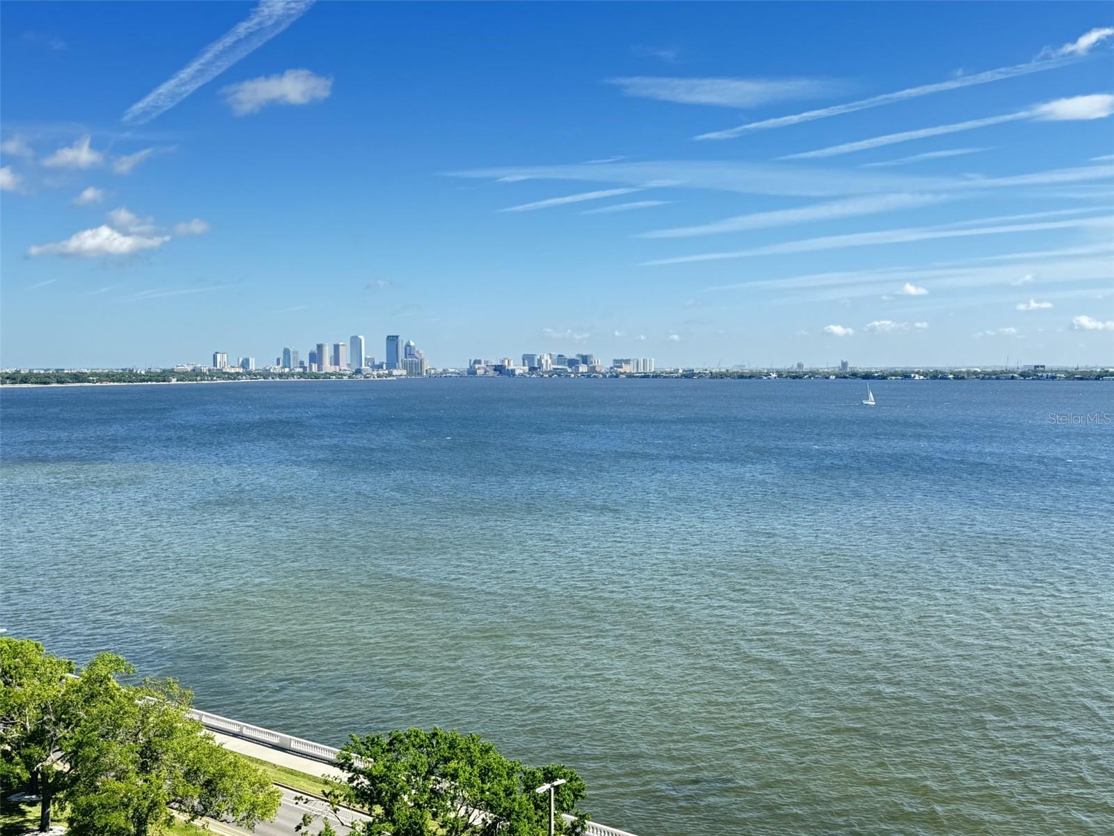 4141 BAYSHORE BLVD #1103