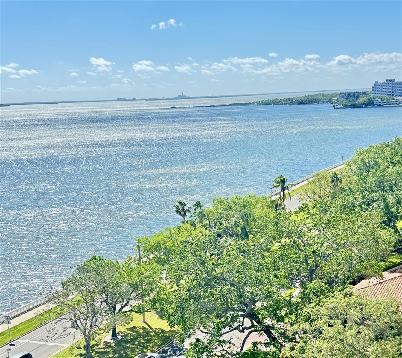4141 BAYSHORE BLVD #1103