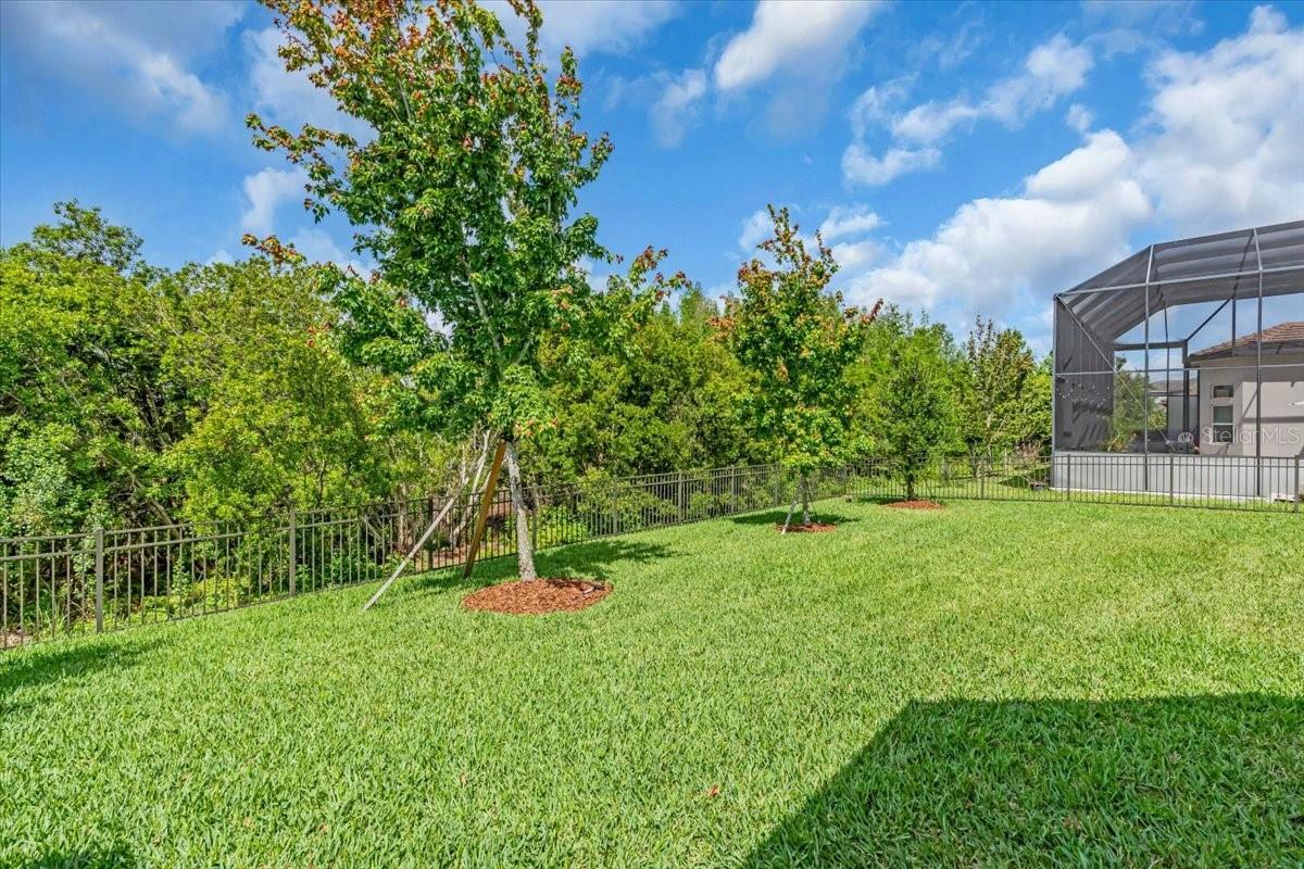2165 HOLLOW FOREST CT