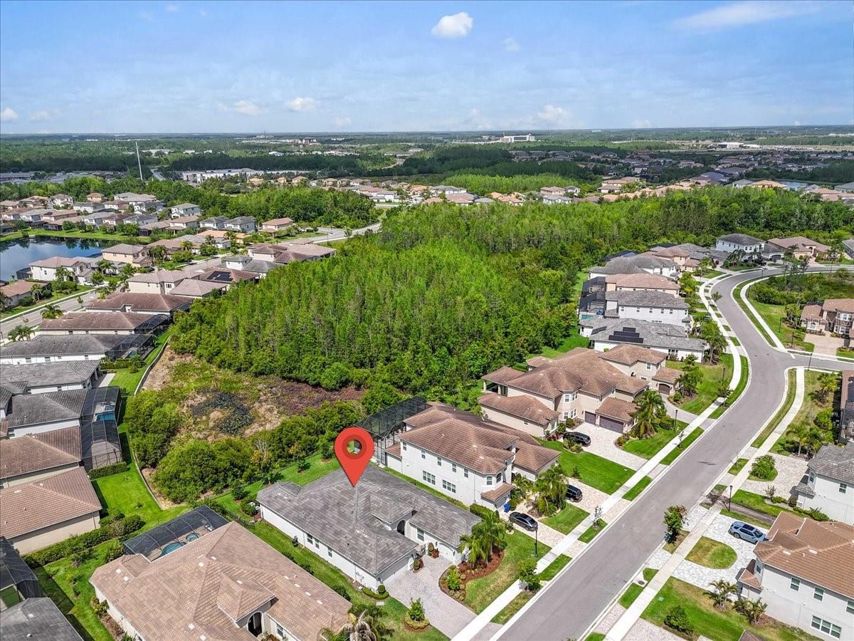 2165 HOLLOW FOREST CT