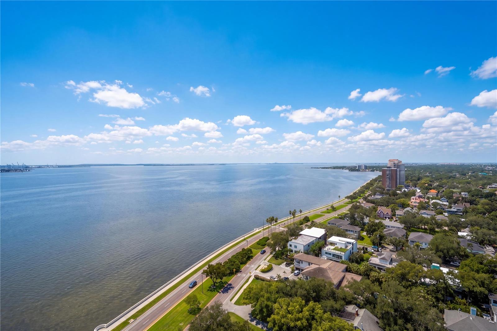 3507 BAYSHORE BLVD #2101