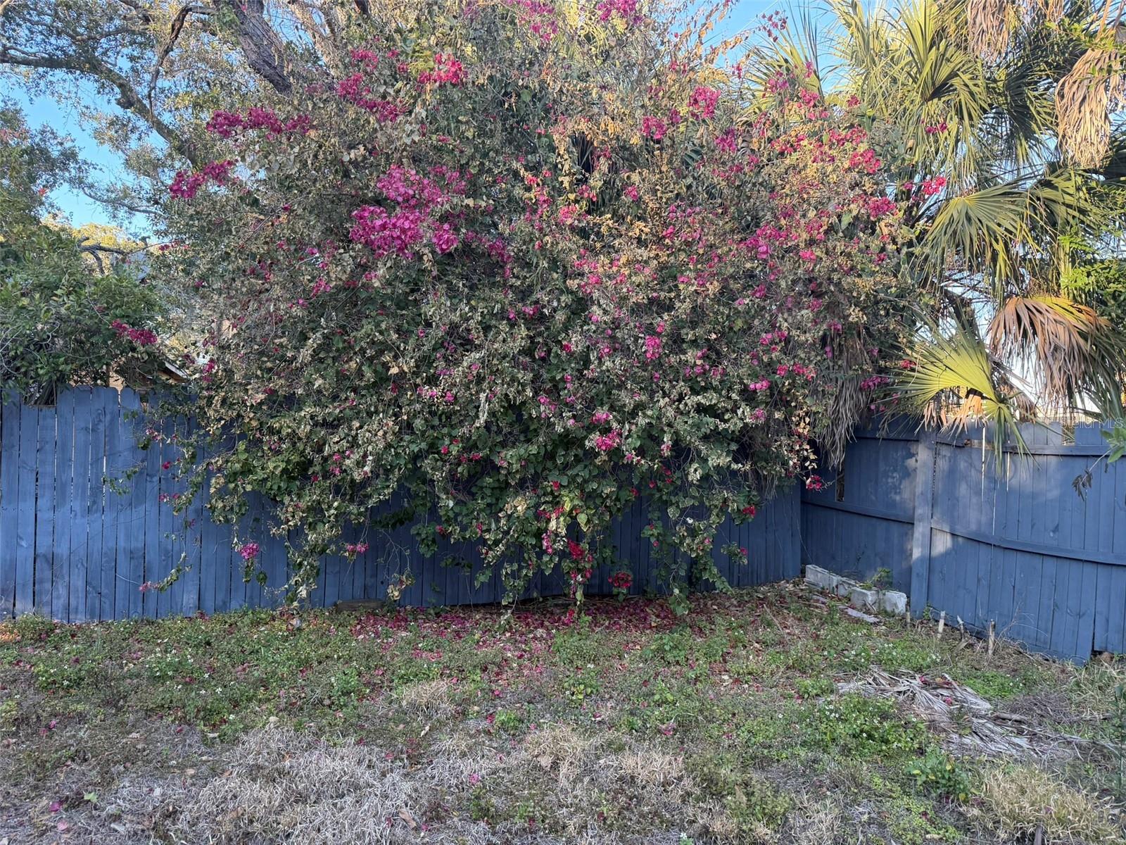 2020 E POWHATAN AVE