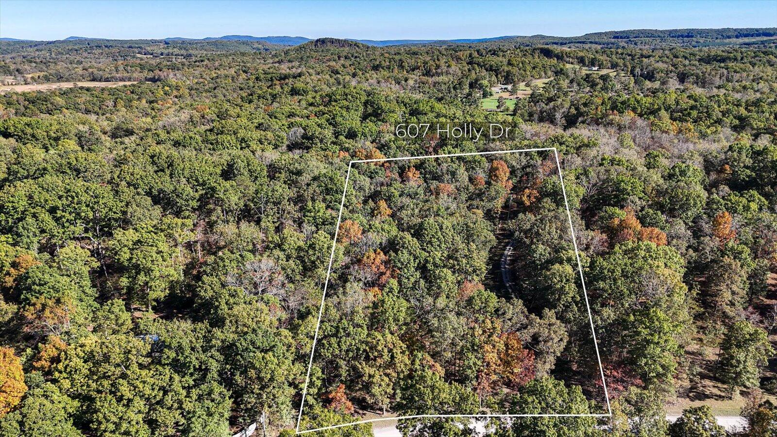 607 Holly Drive