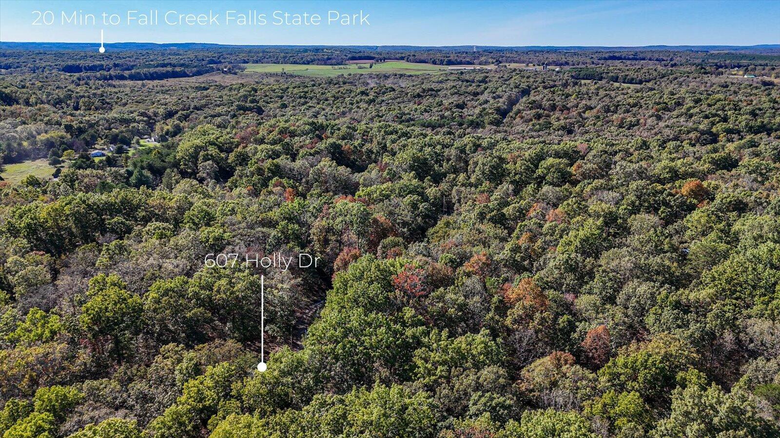 607 Holly Drive