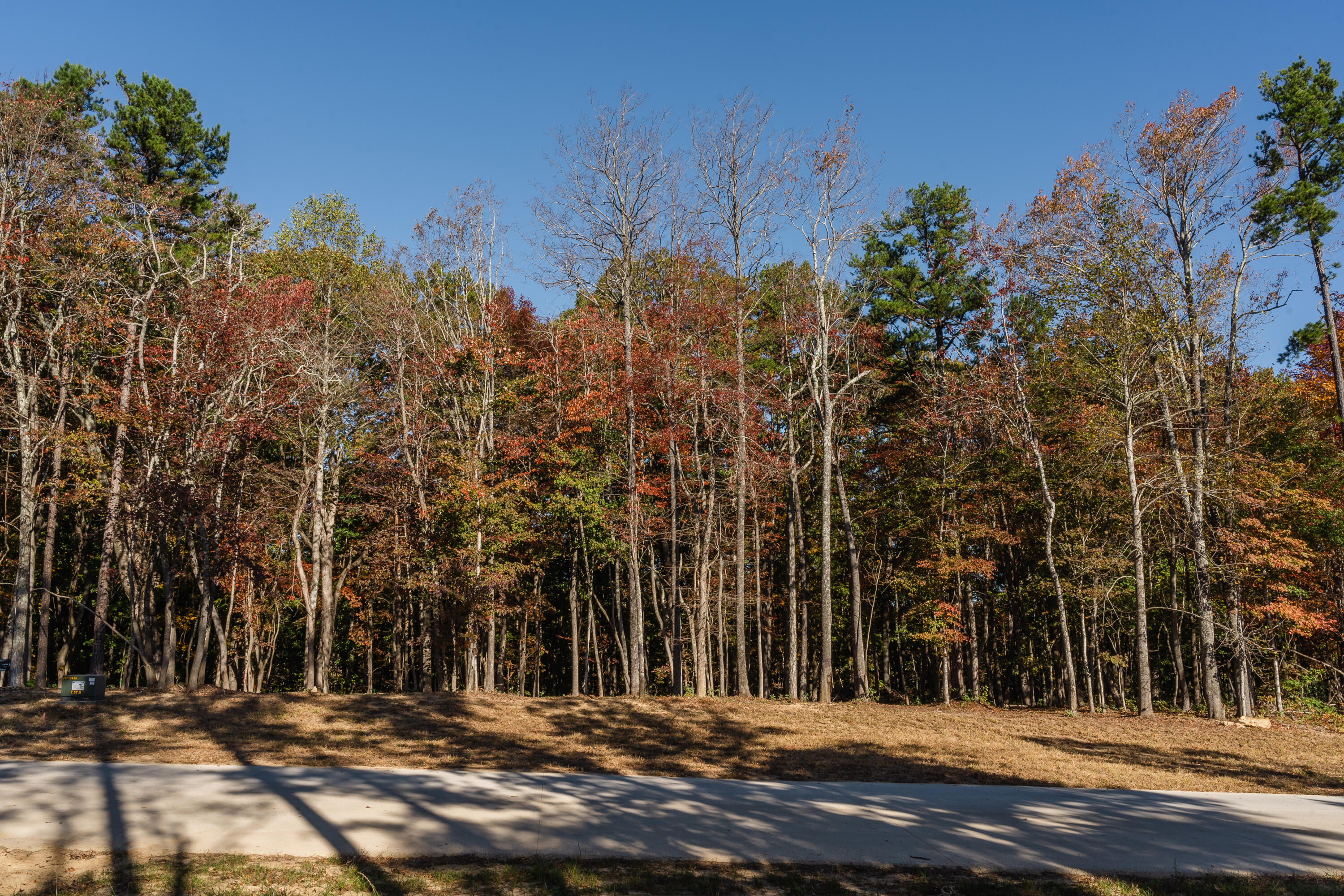 3308 River Gorge Drive, Lot 1409
