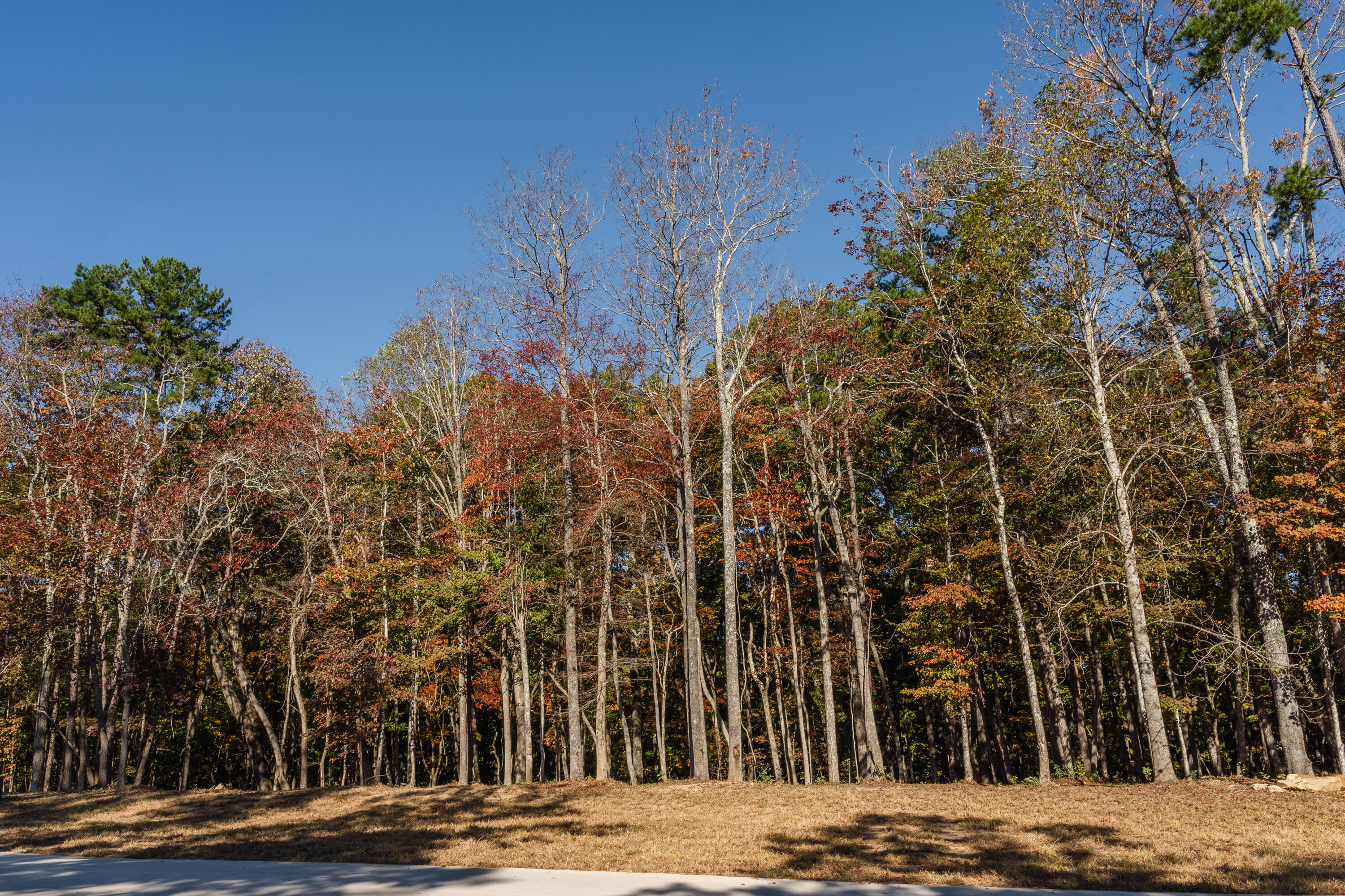 3308 River Gorge Drive, Lot 1409