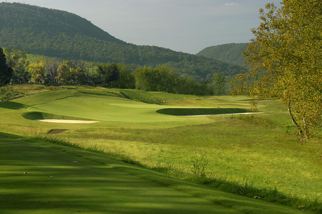 3308 River Gorge Drive, Lot 1409