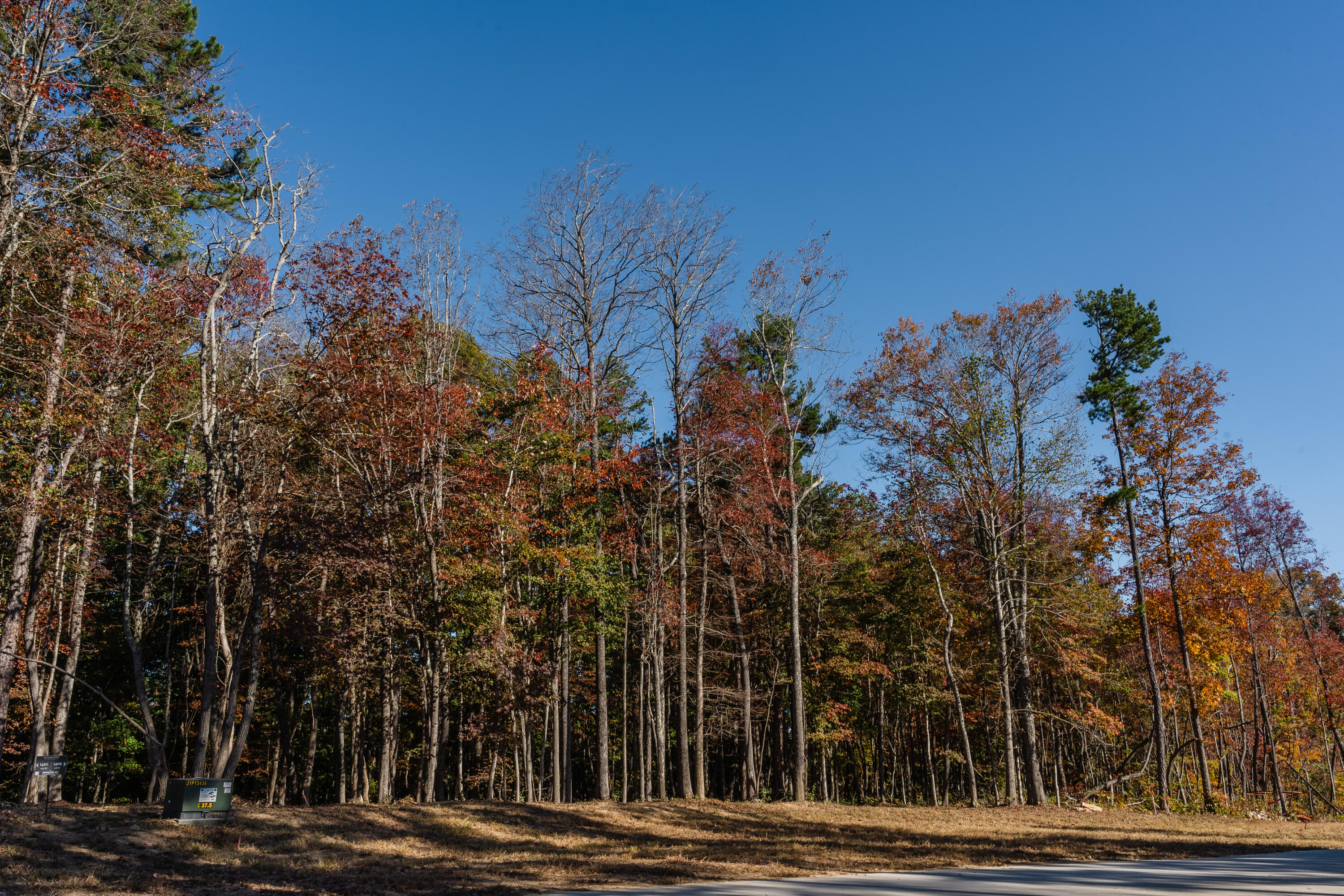 3308 River Gorge Drive, Lot 1409