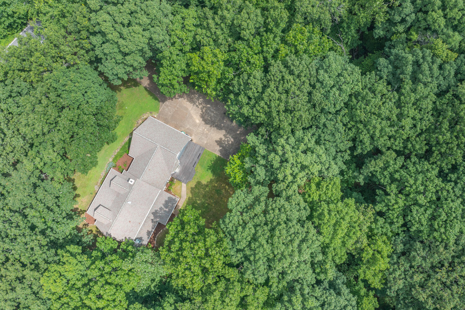 1200 Laurel Springs Way