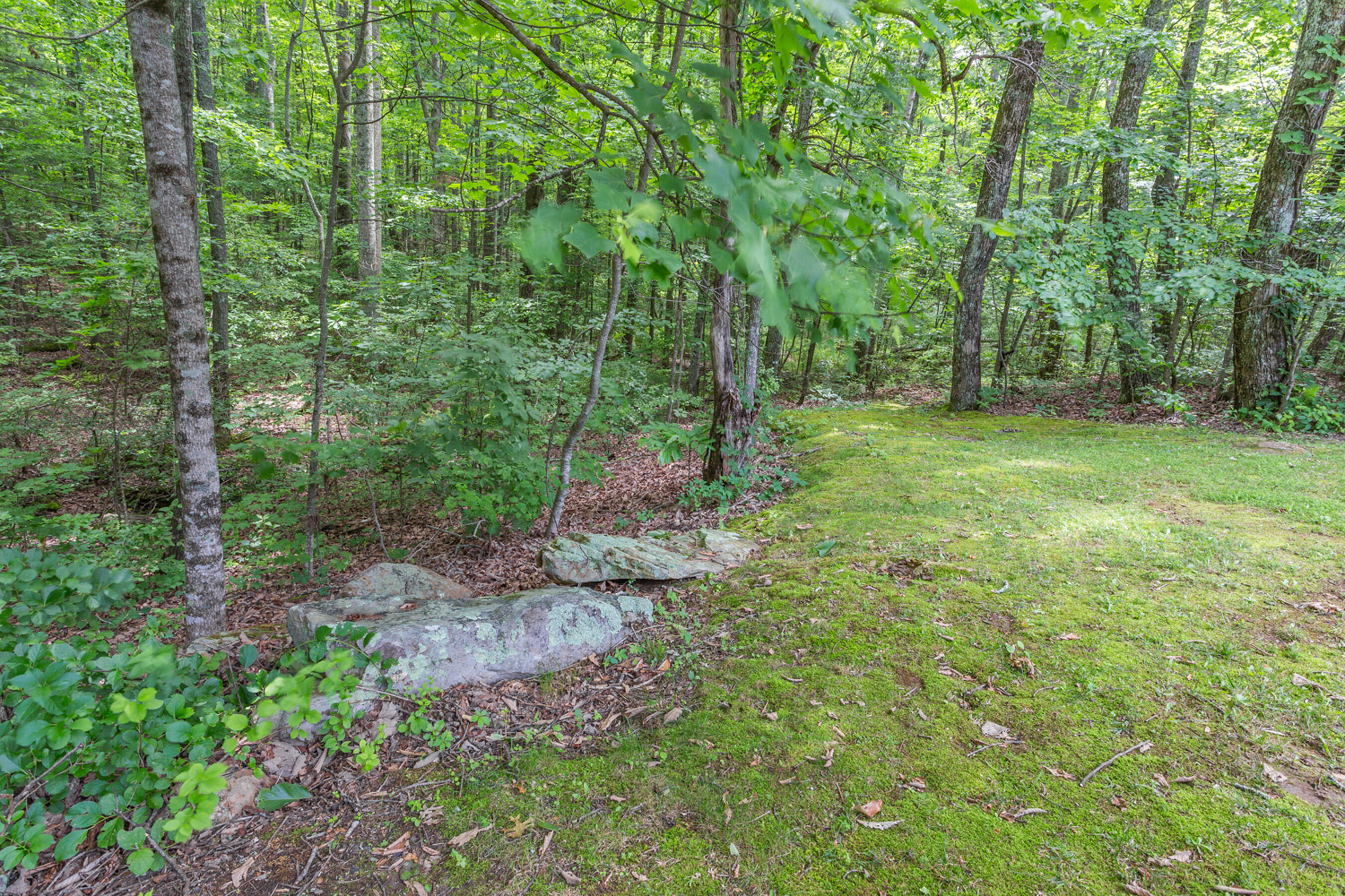 1200 Laurel Springs Way