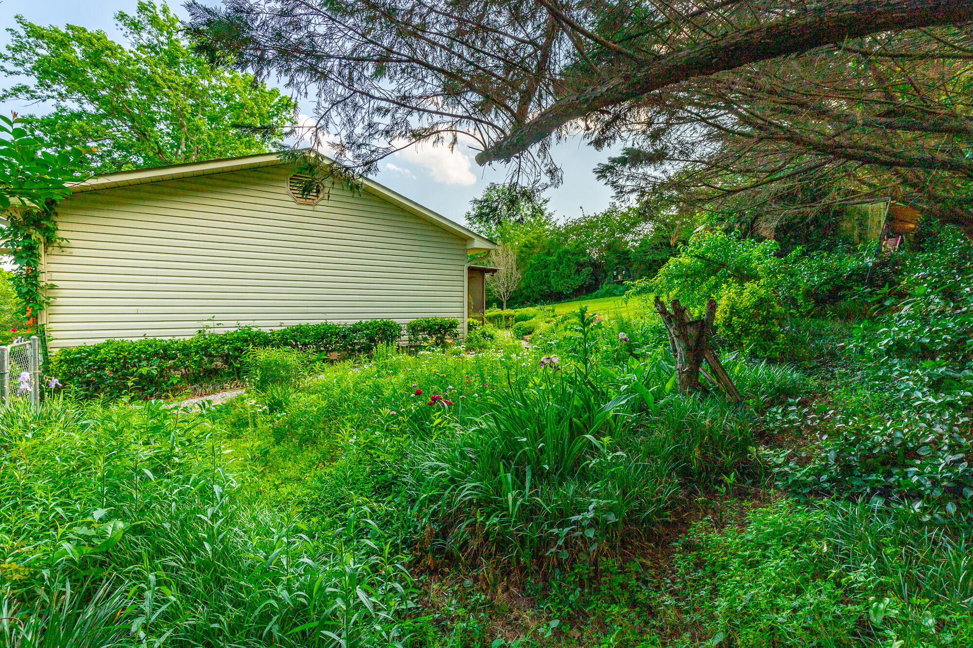 255 Melissa Dawn Drive