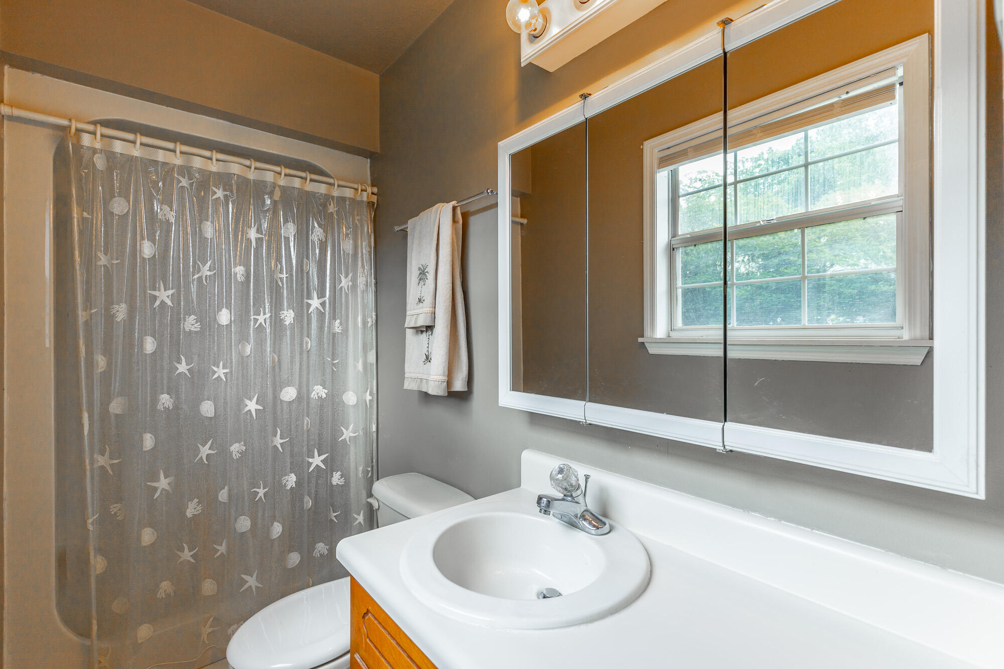 255 Melissa Dawn Drive