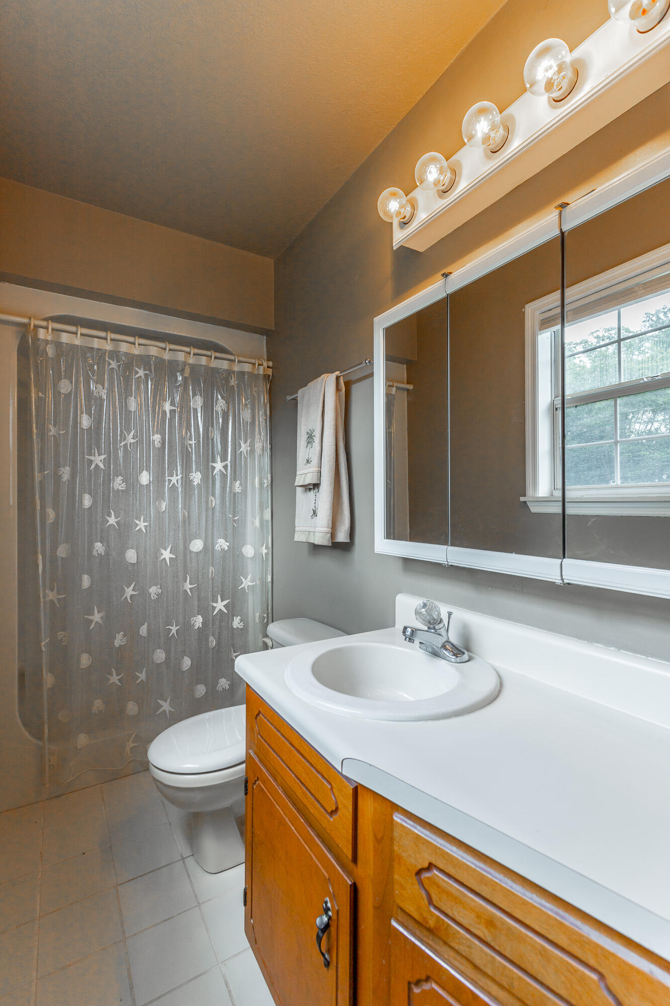 255 Melissa Dawn Drive