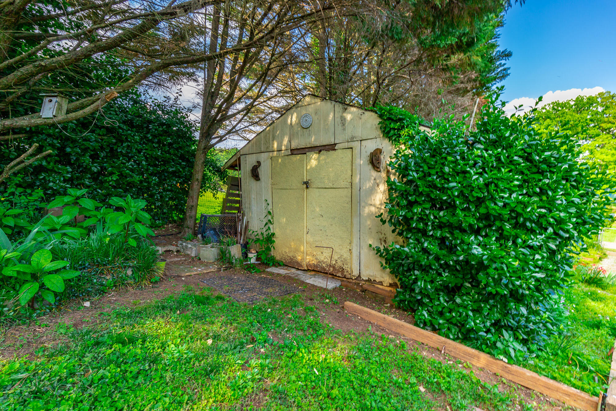 255 Melissa Dawn Drive