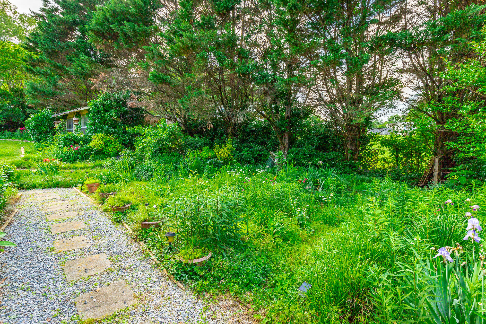 255 Melissa Dawn Drive