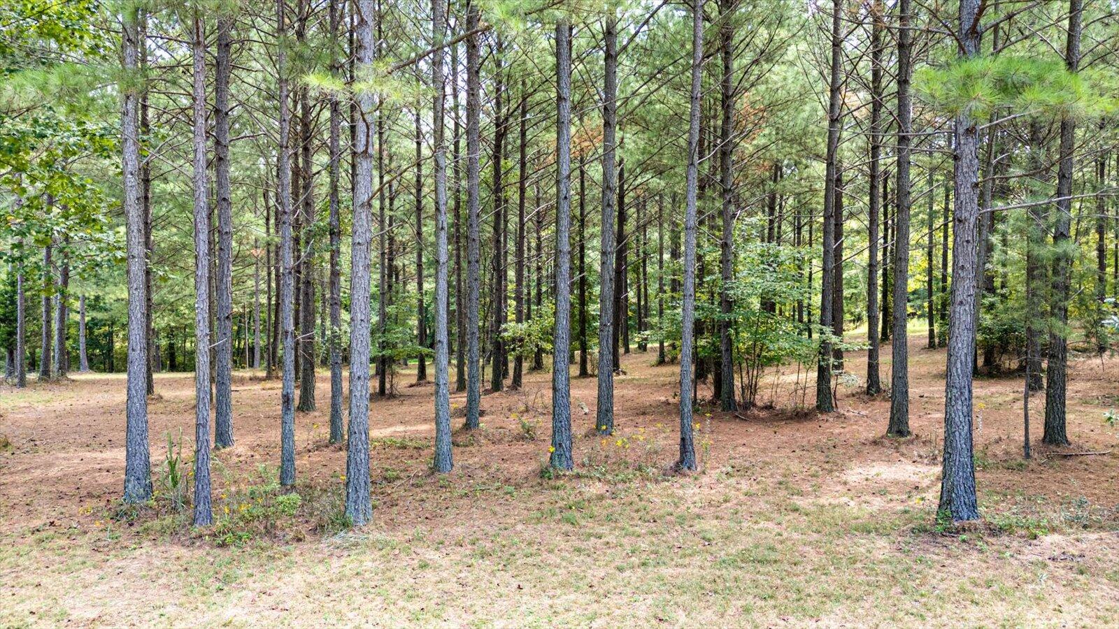 0 High Point Lane, 182b