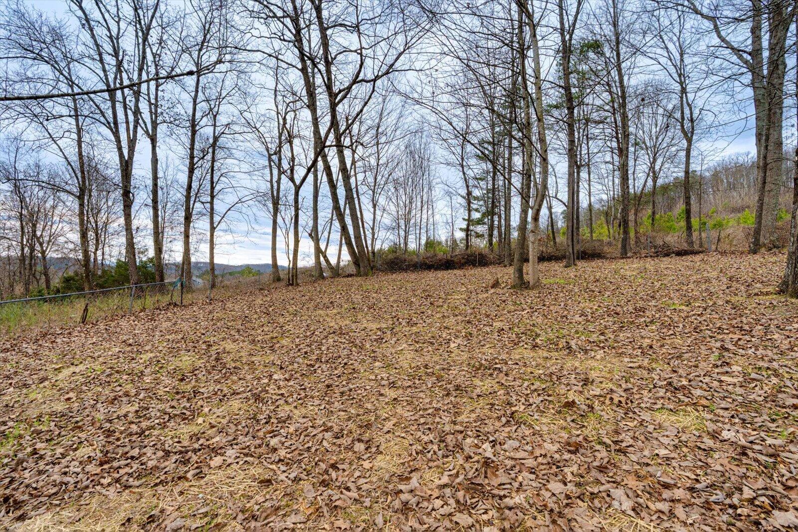 1917 Circle Drive SW