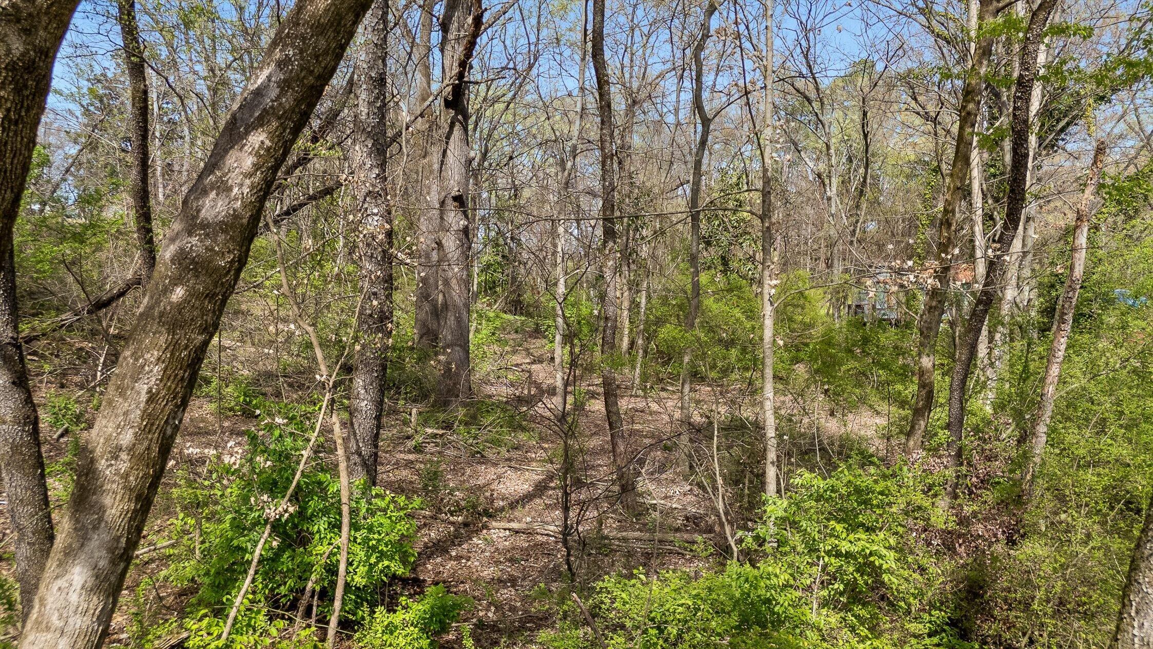 7401 Old Cleveland Pike