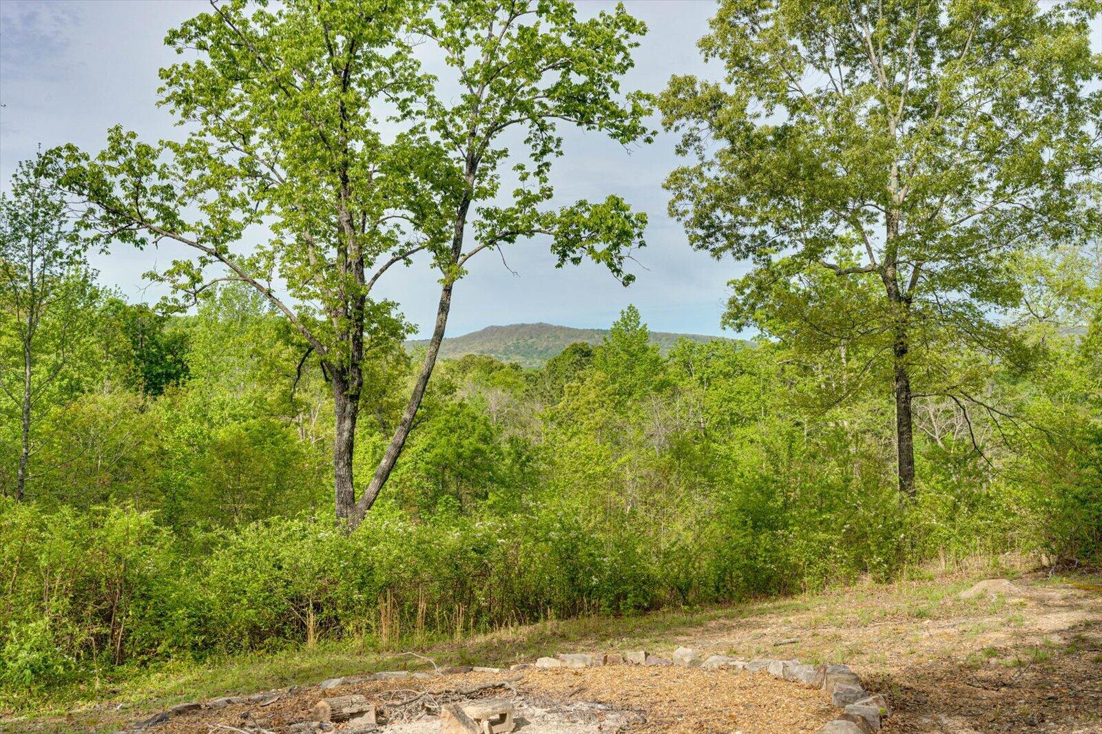 4156 N Marble Top Road