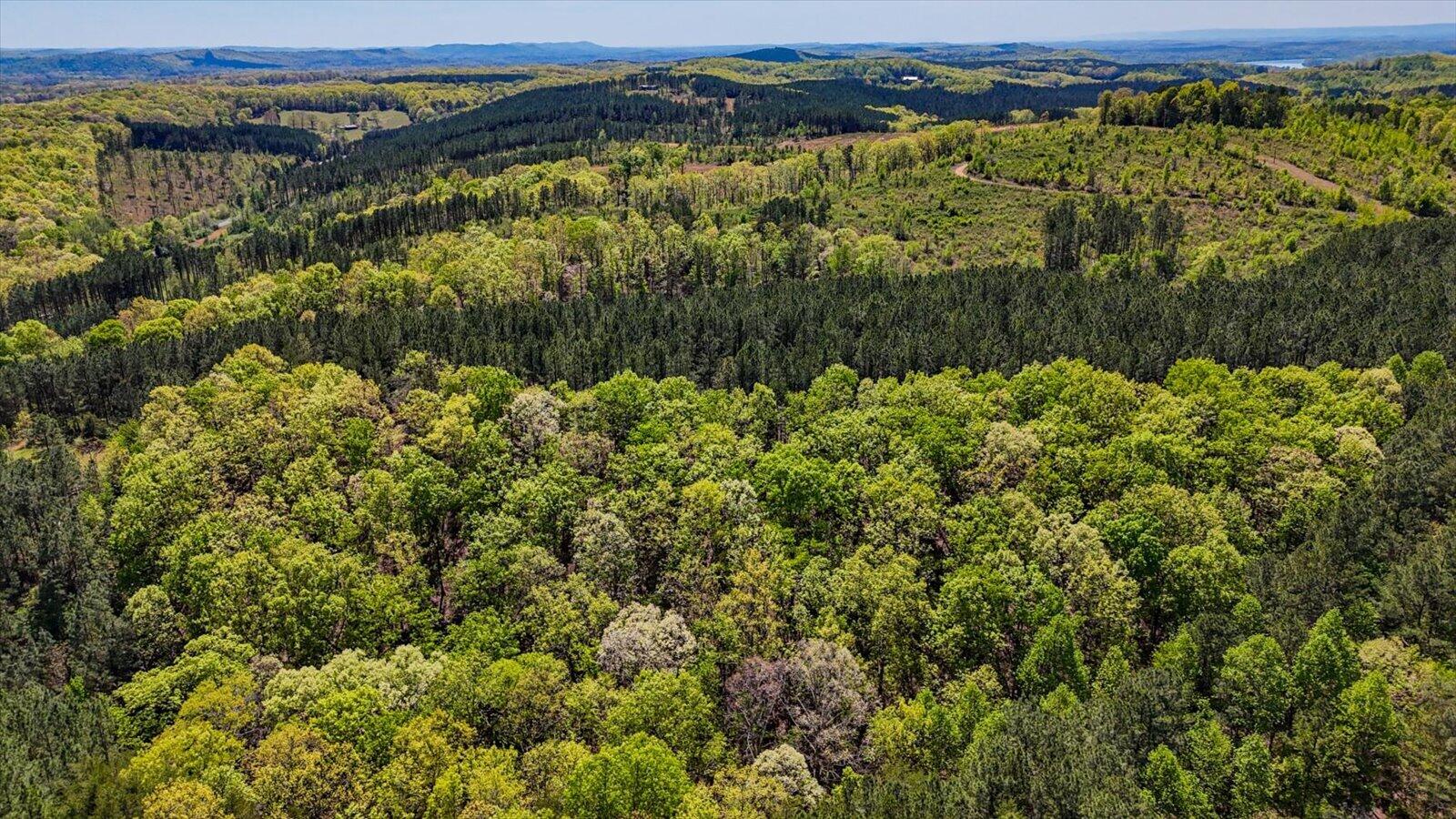 15.12 Acre Rynes Road